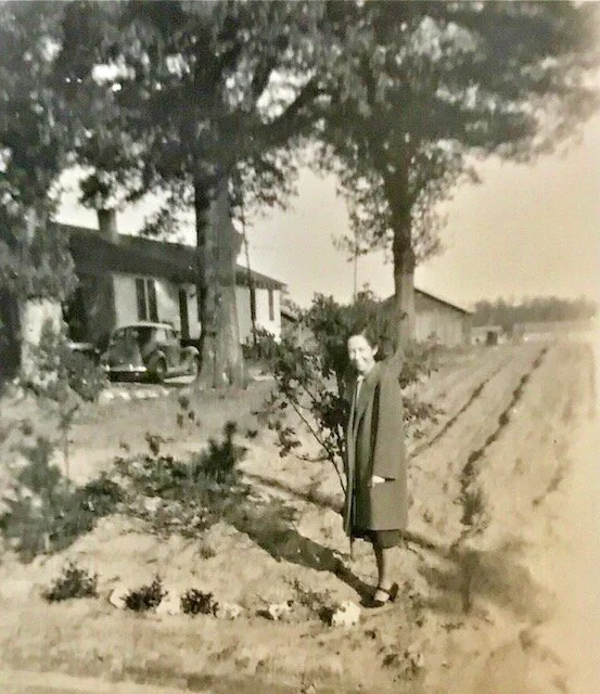 FROM THE HILLS OF APPALACHIA TO THE FARMS OF EASTERN NORTH CAROLINA