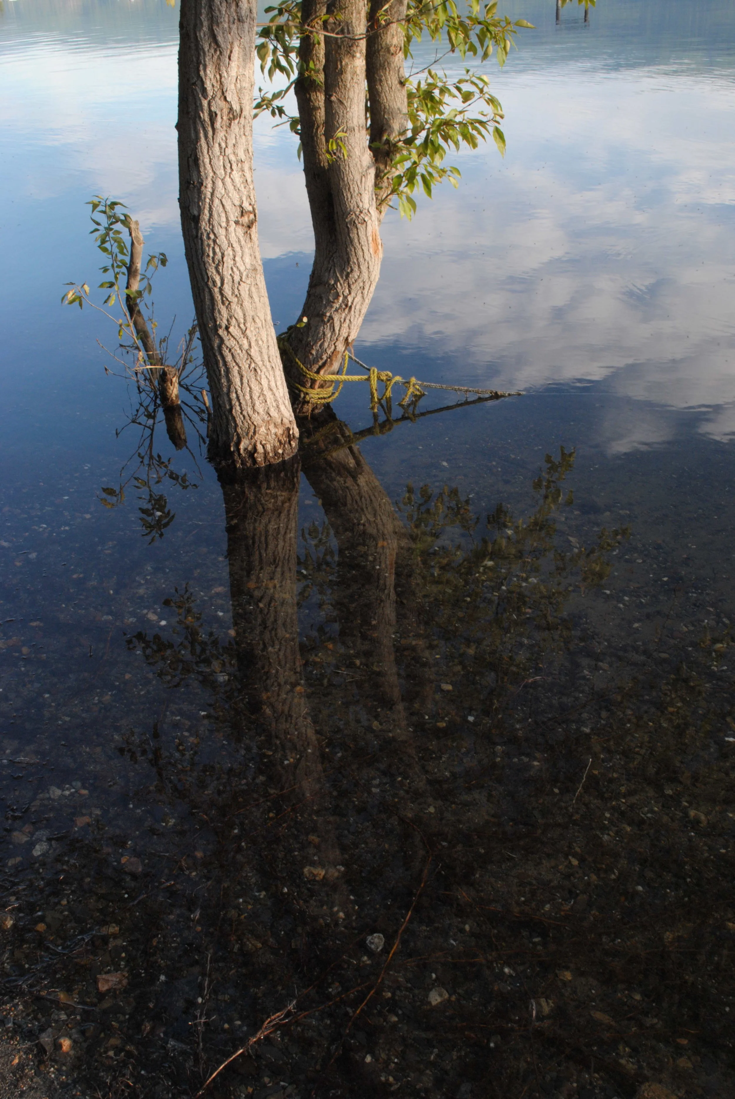 DSC_5120.JPG