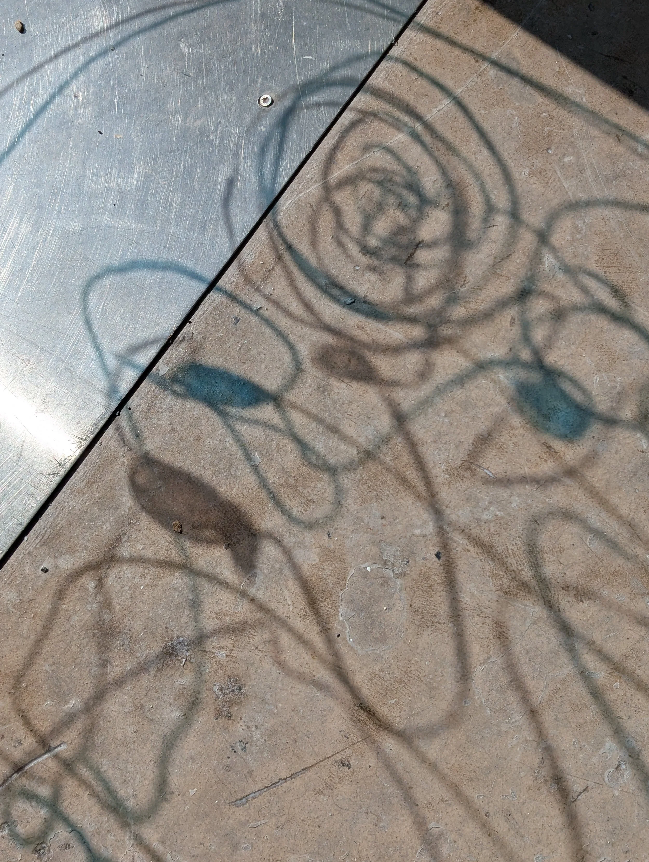 PXL_20250407_141822490.RAW-01.COVER.jpg