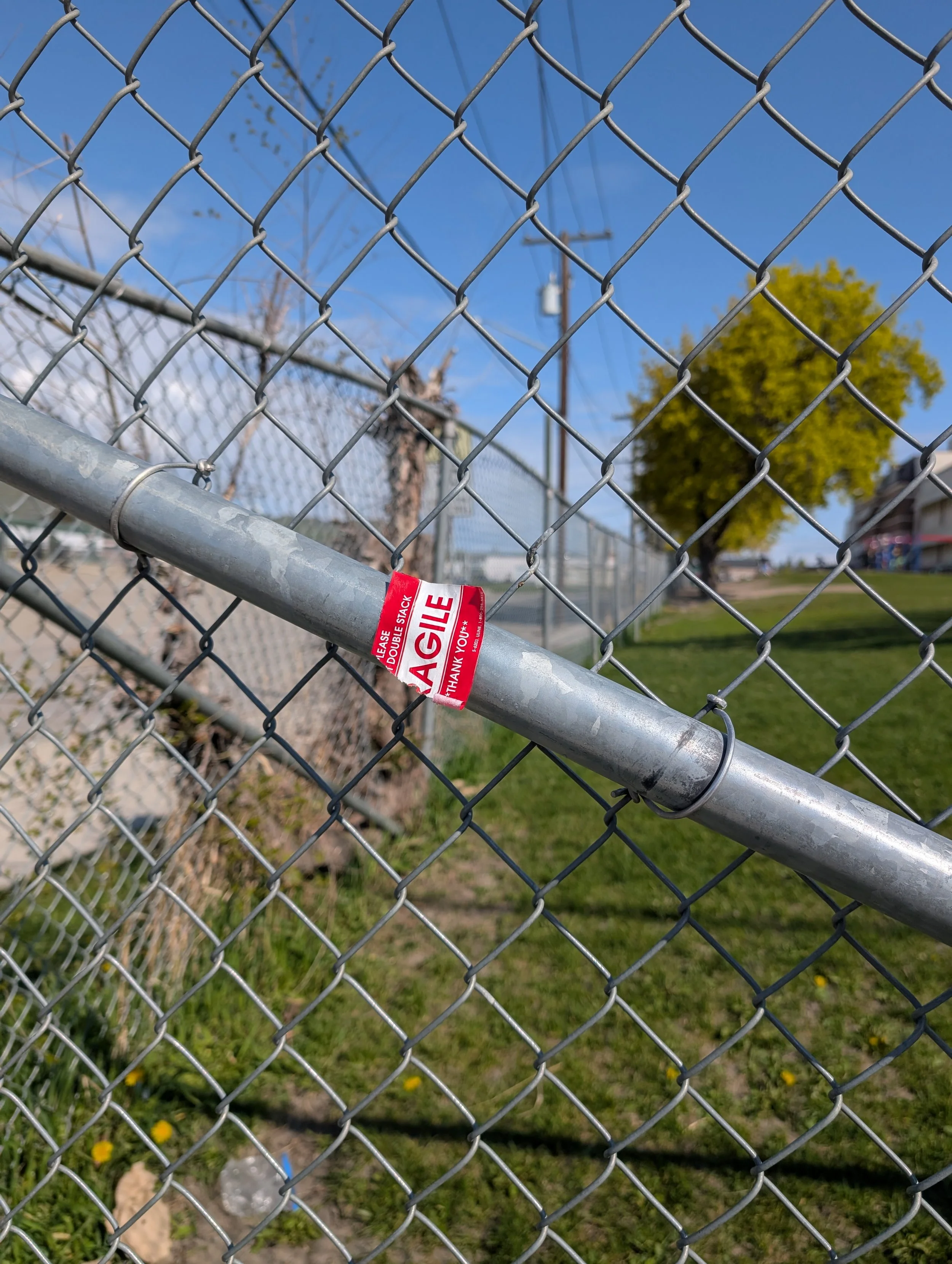 PXL_20250422_171355905.RAW-01.COVER.jpg
