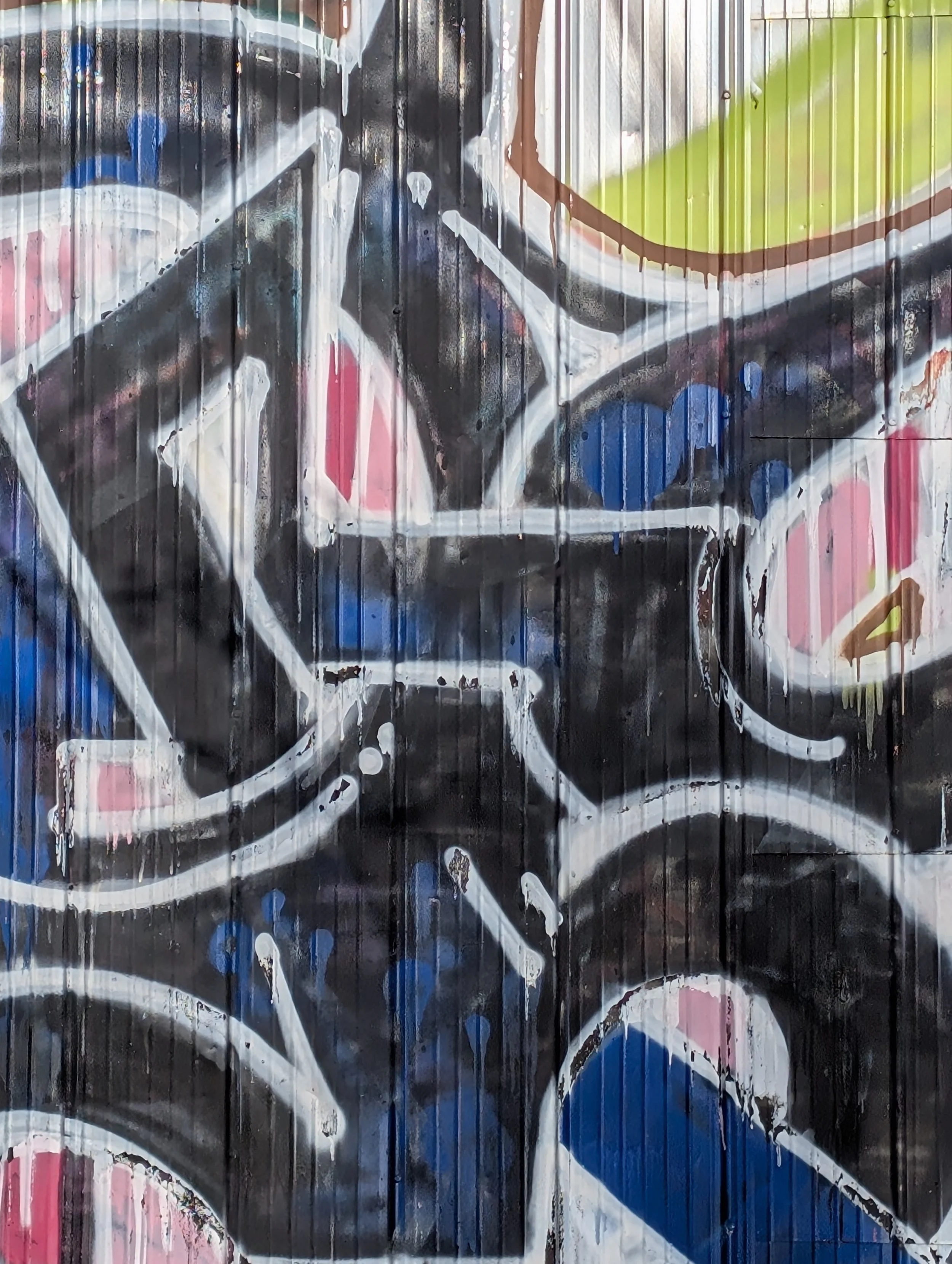 PXL_20251227_205457432.RAW-01.COVER.jpg