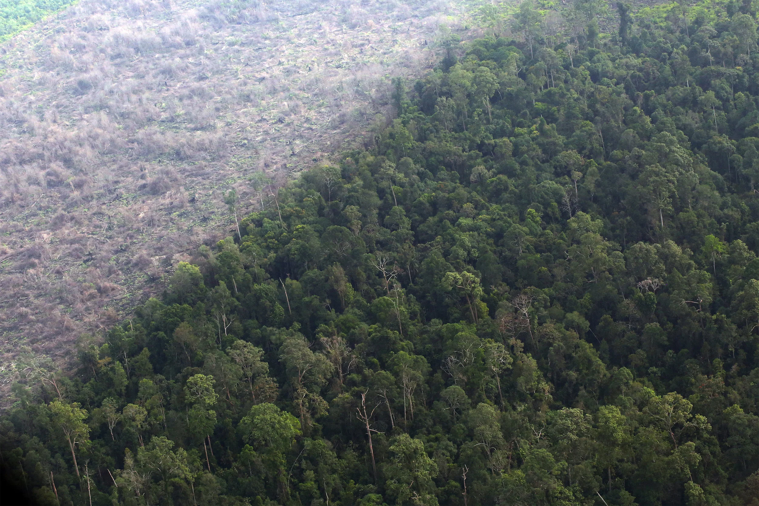 riau_1361.jpg