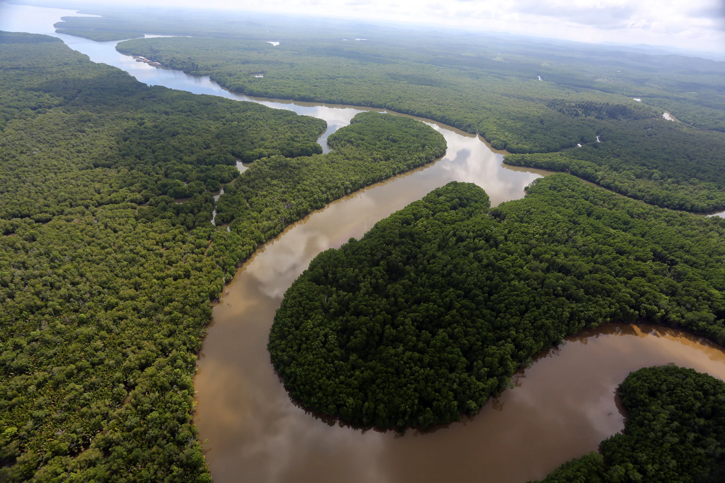 sabah_aerial_0033.jpg
