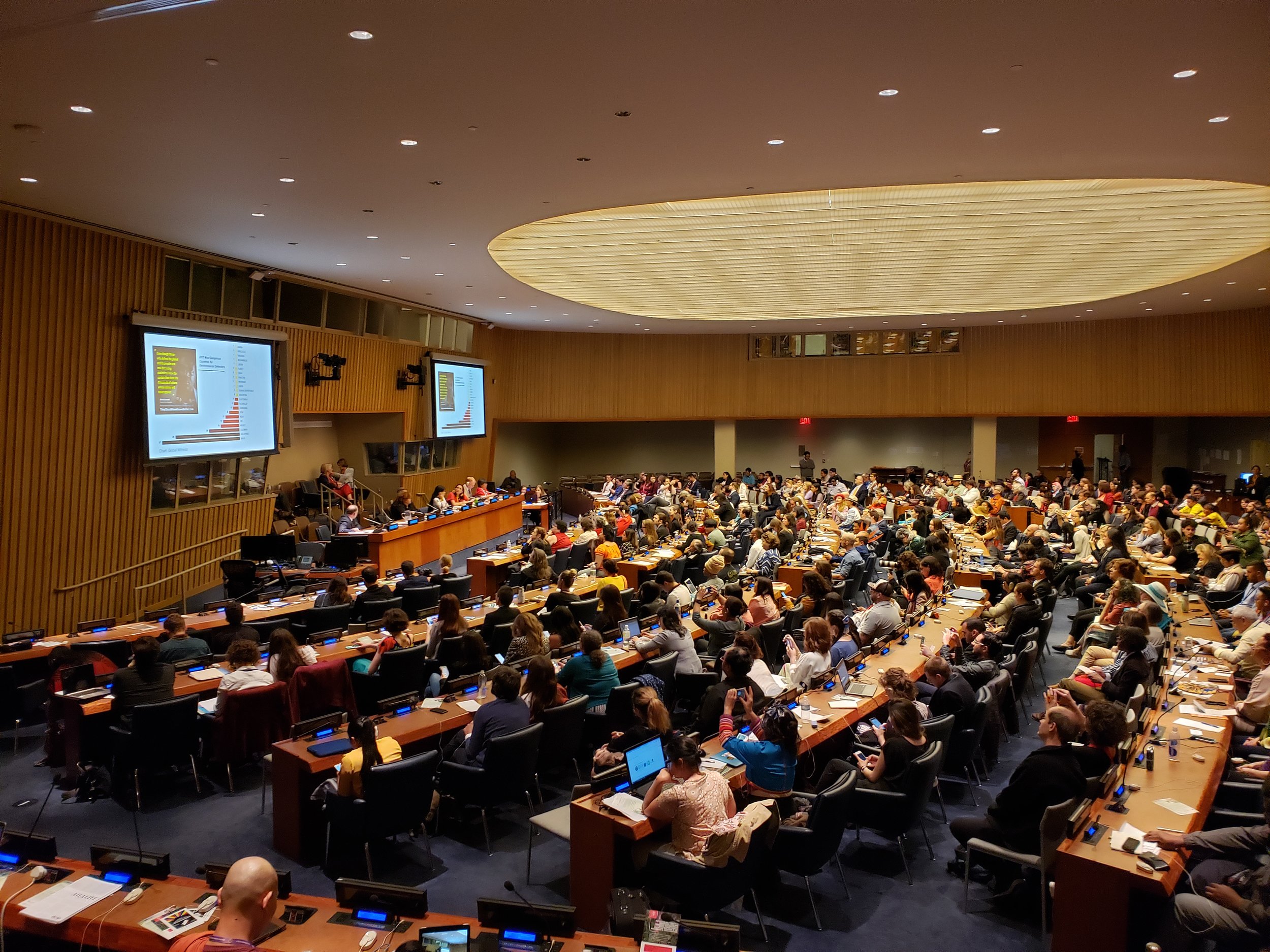 Forest Defenders at the UN Permanent Forum on Indigenous Issues