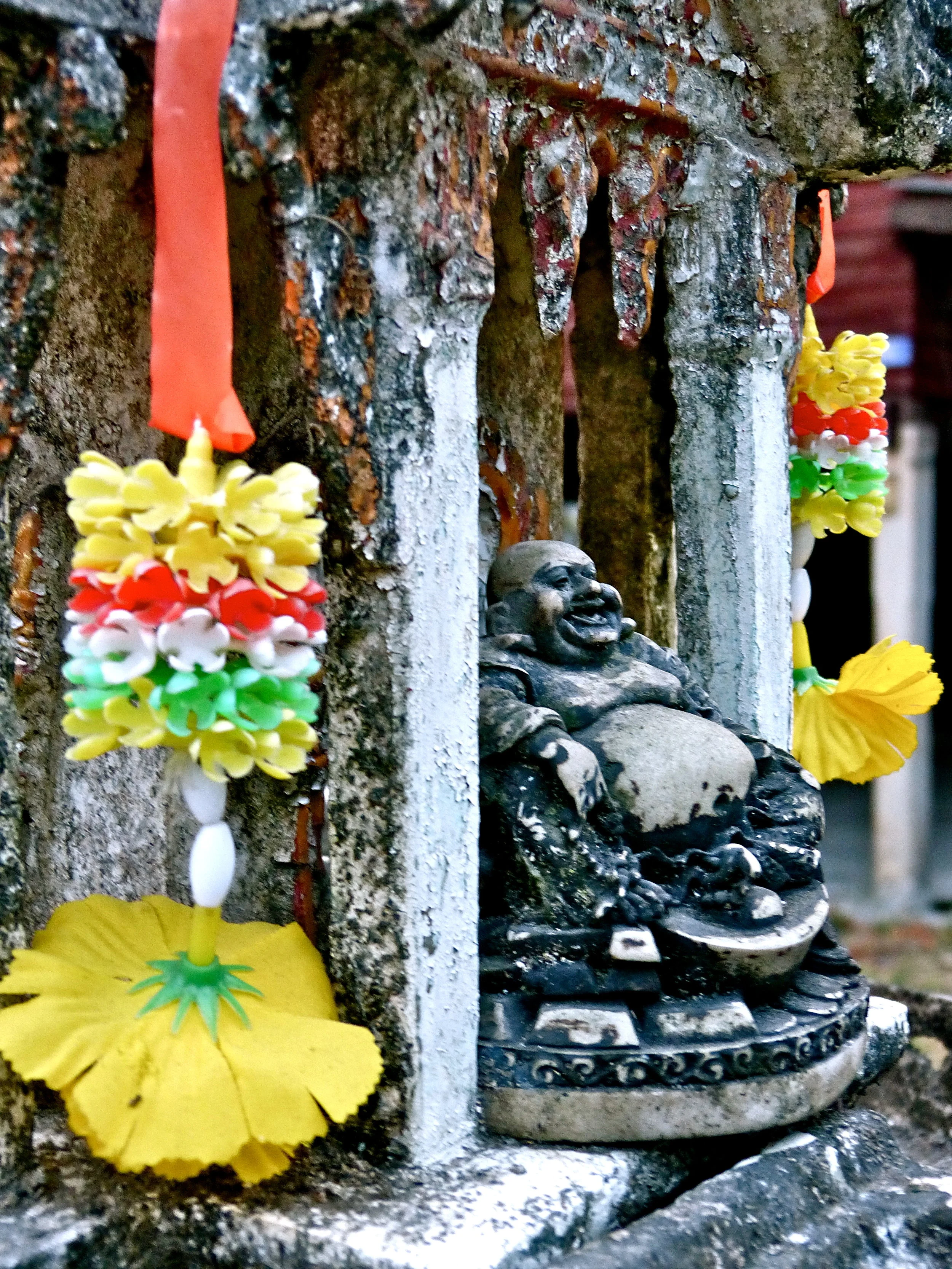 Garlic and Consequences