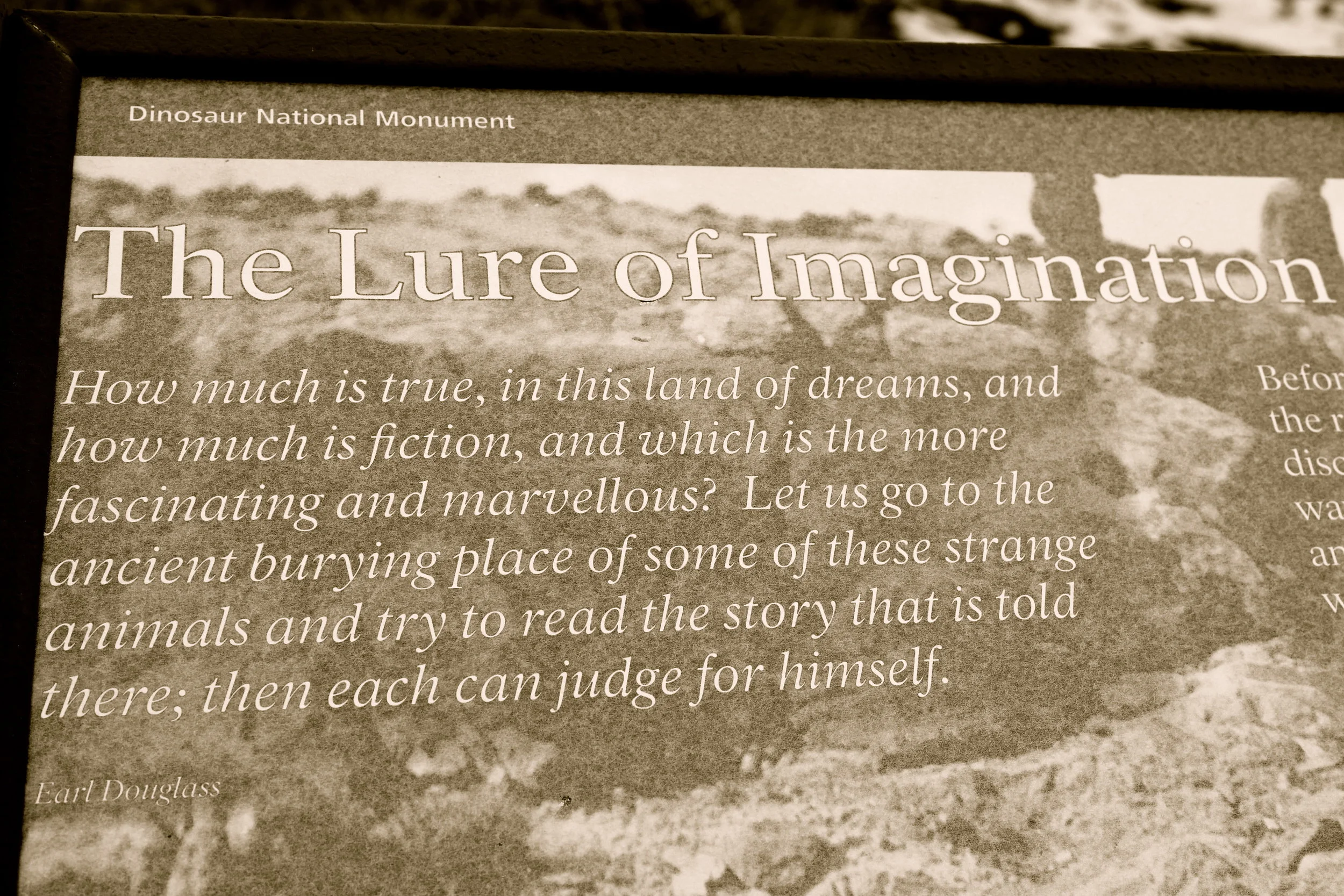 Dinosaur I: First Impressions