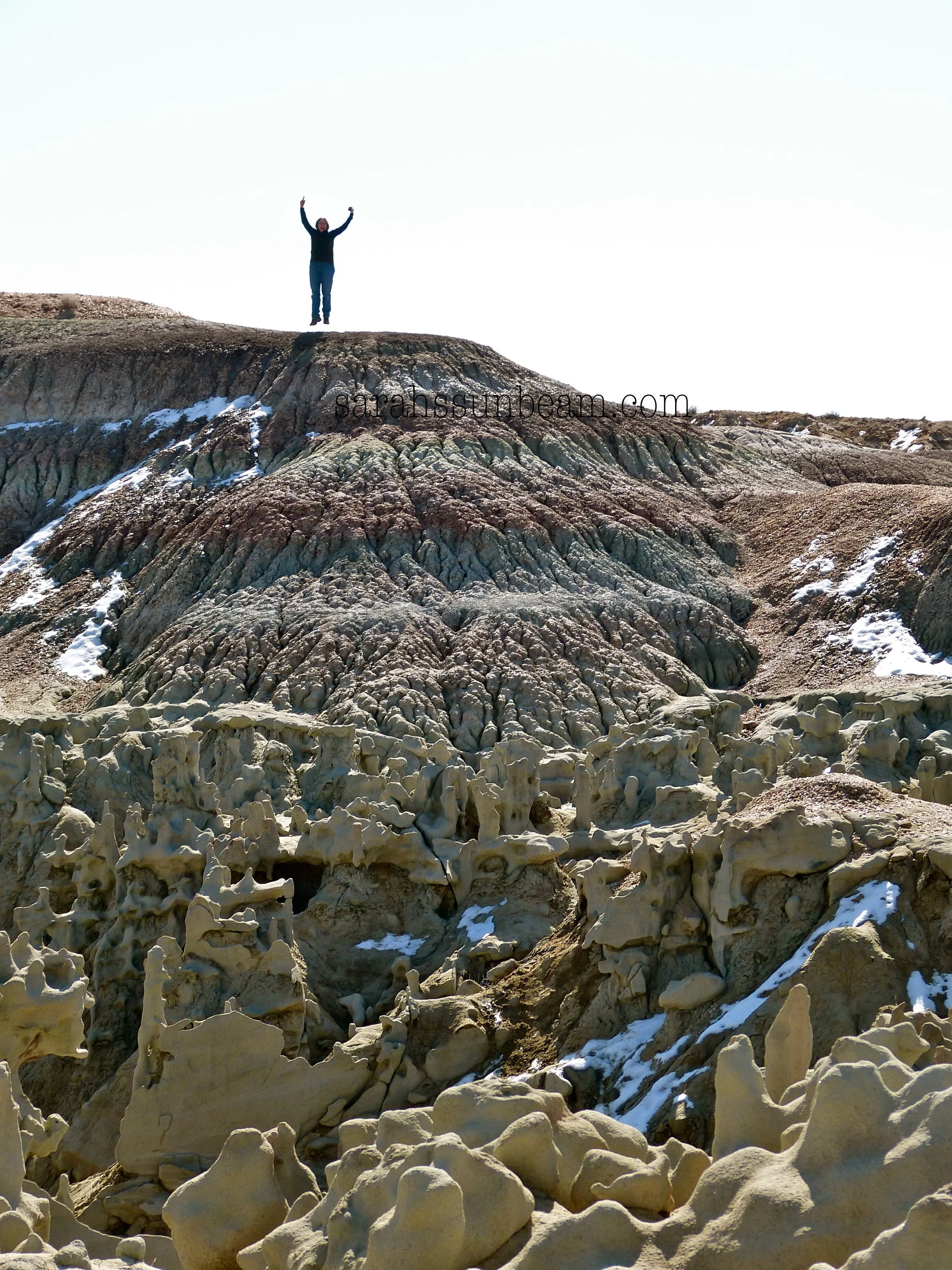 Fantasy Canyon: Pigmy Rattlesnakes, Power Plants, and a Witch's head (Dinosaur II)