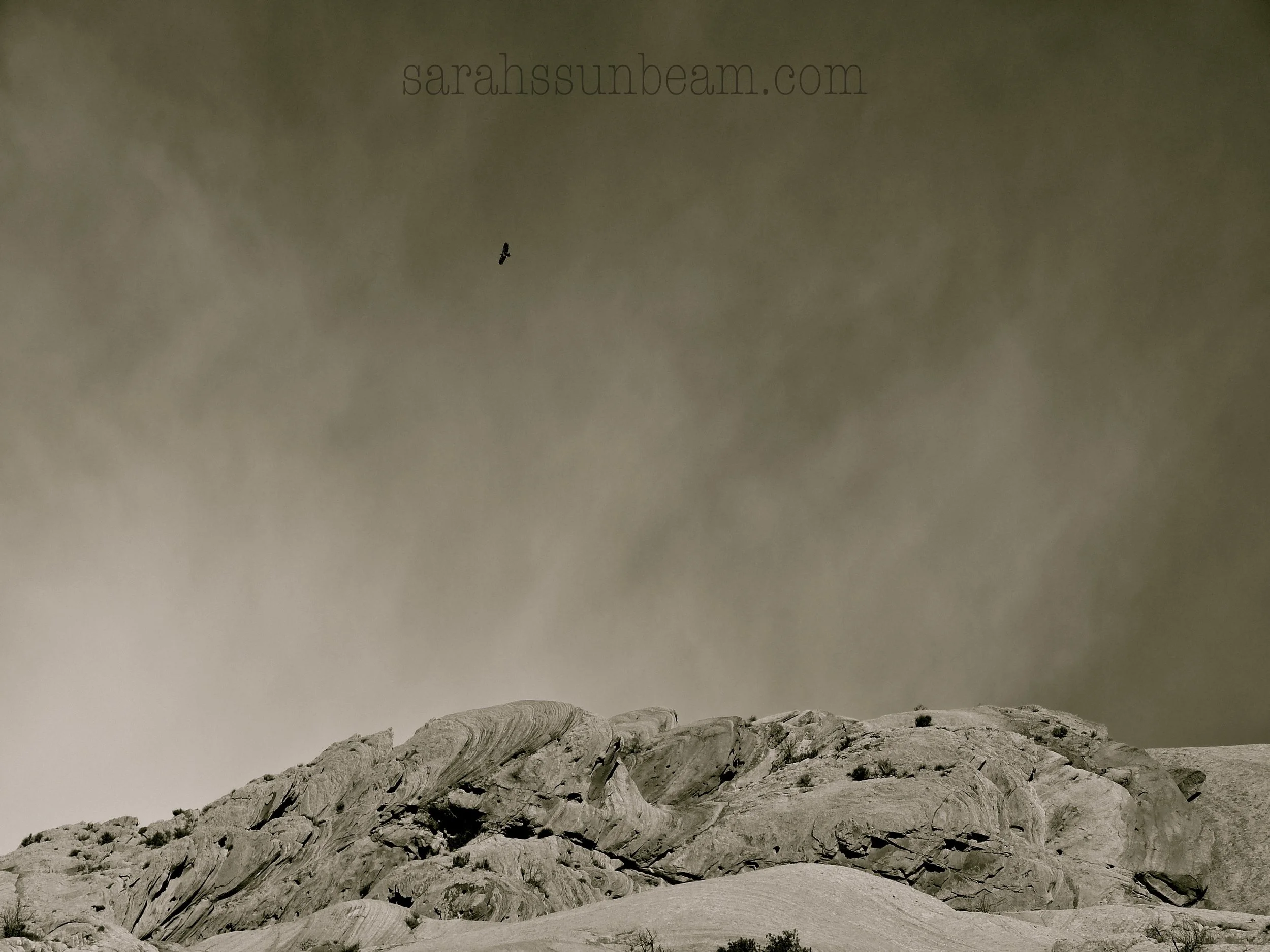 Images of the Desert (Dinosaur V)