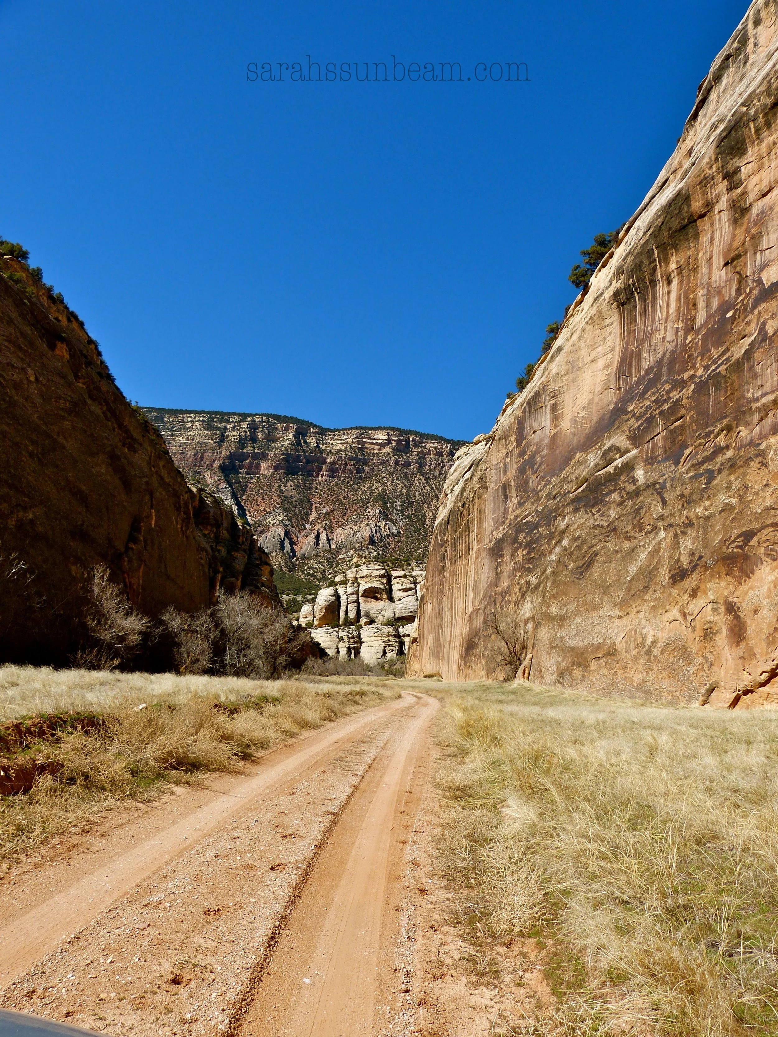 Echo Park: The Center of the Universe or the end? (Dinosaur VI)