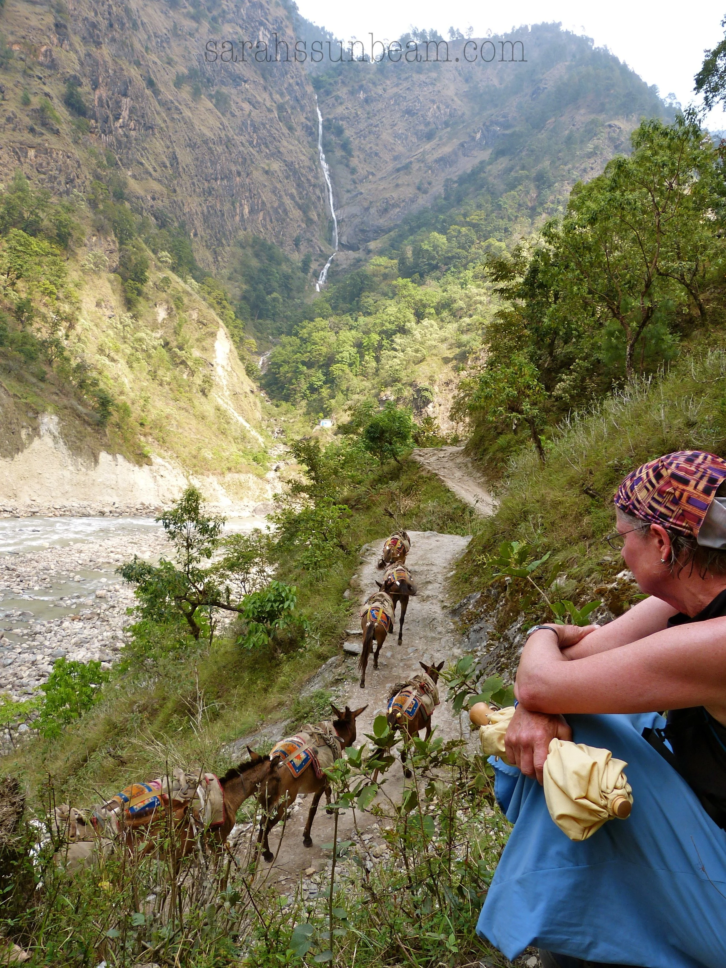 Trading Roads for Trails (Nepal Journal 2)