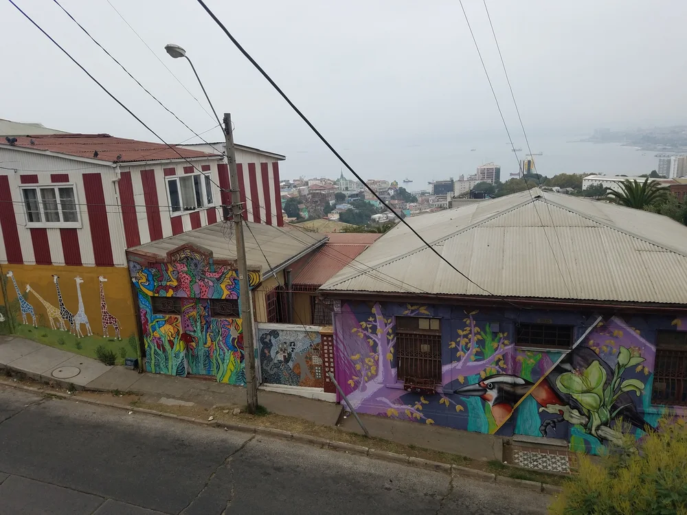 20190219_110524.jpg