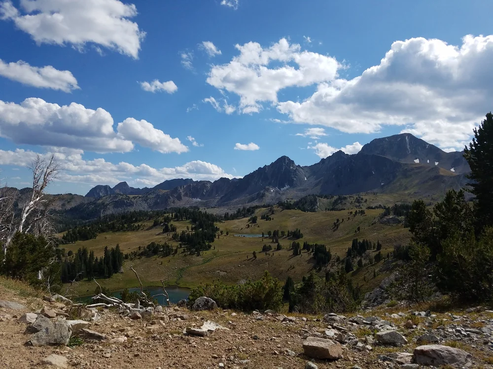 20190831_155446.jpg