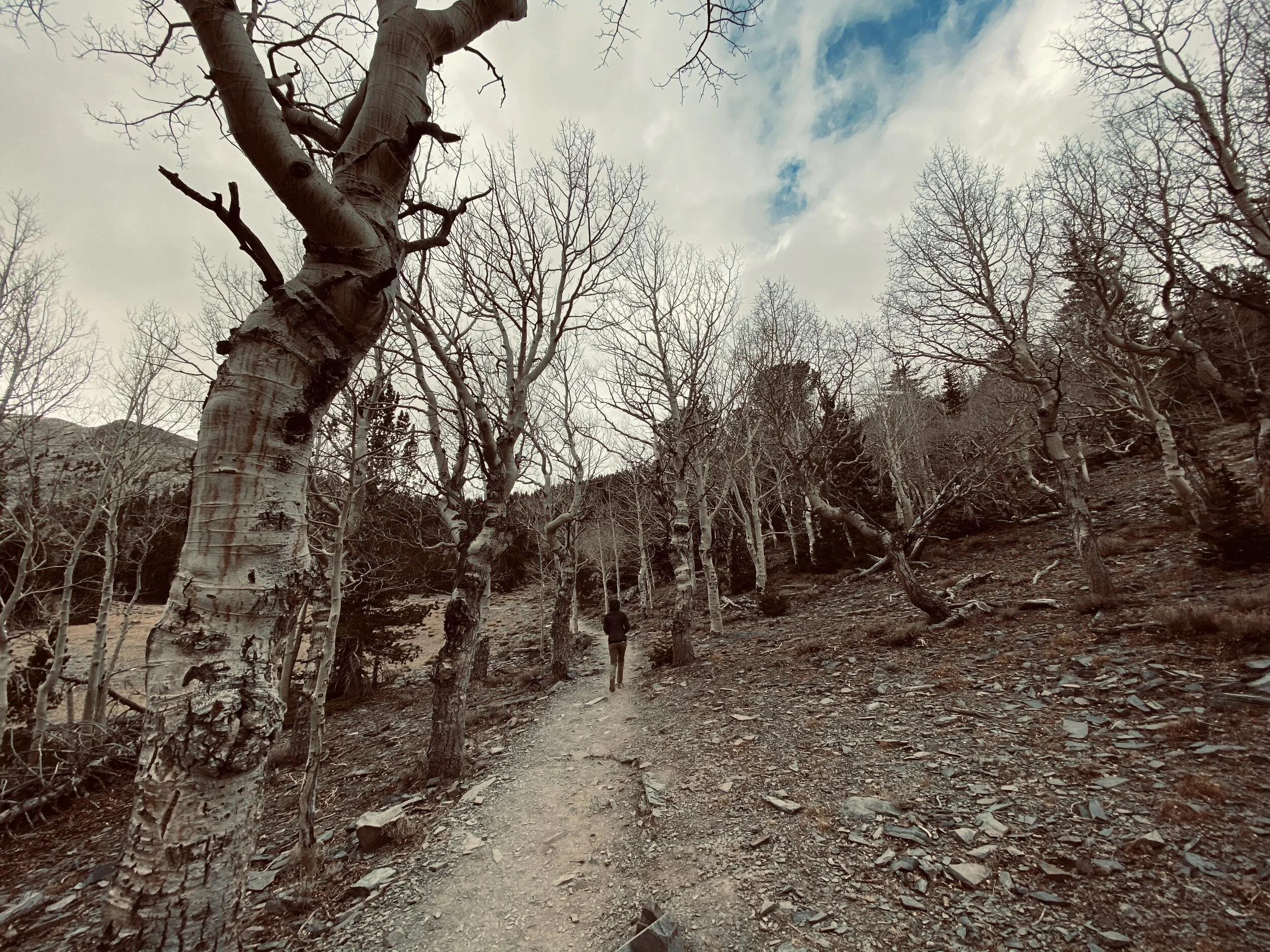 Exploring NV &amp; UT: Great Basin Nat’l Park, Cathedral Gorge &amp; Snow Canyon