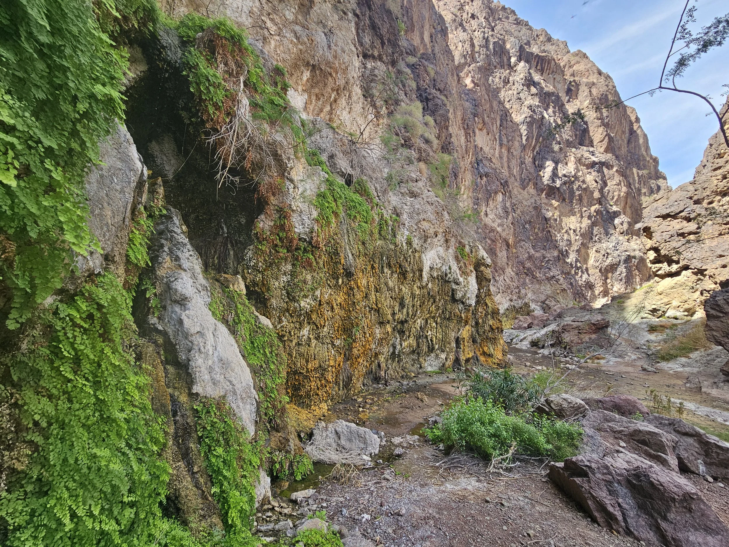 Tell me the desert isn't beautiful. 