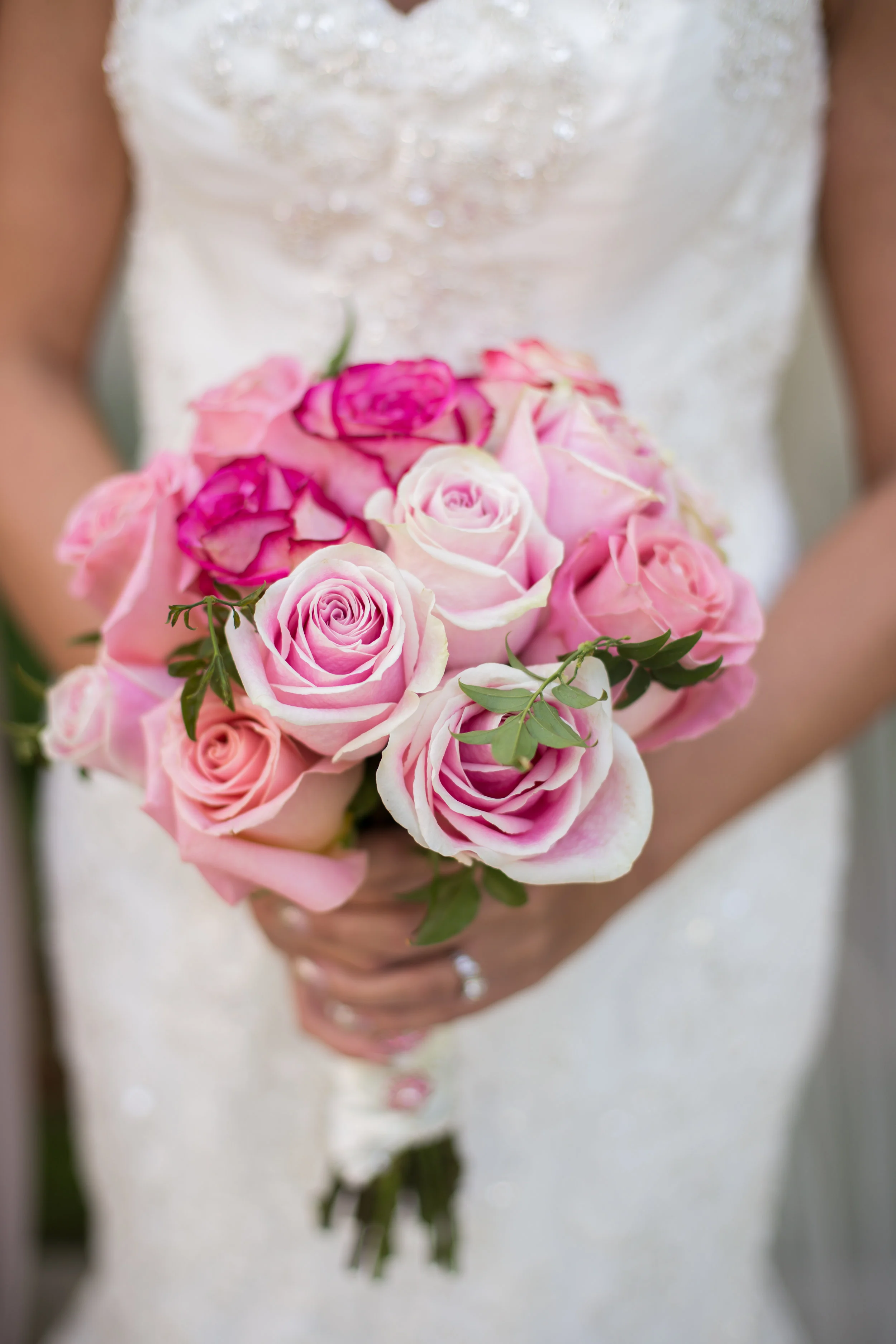 Alicja and Scout Photography and Videography
