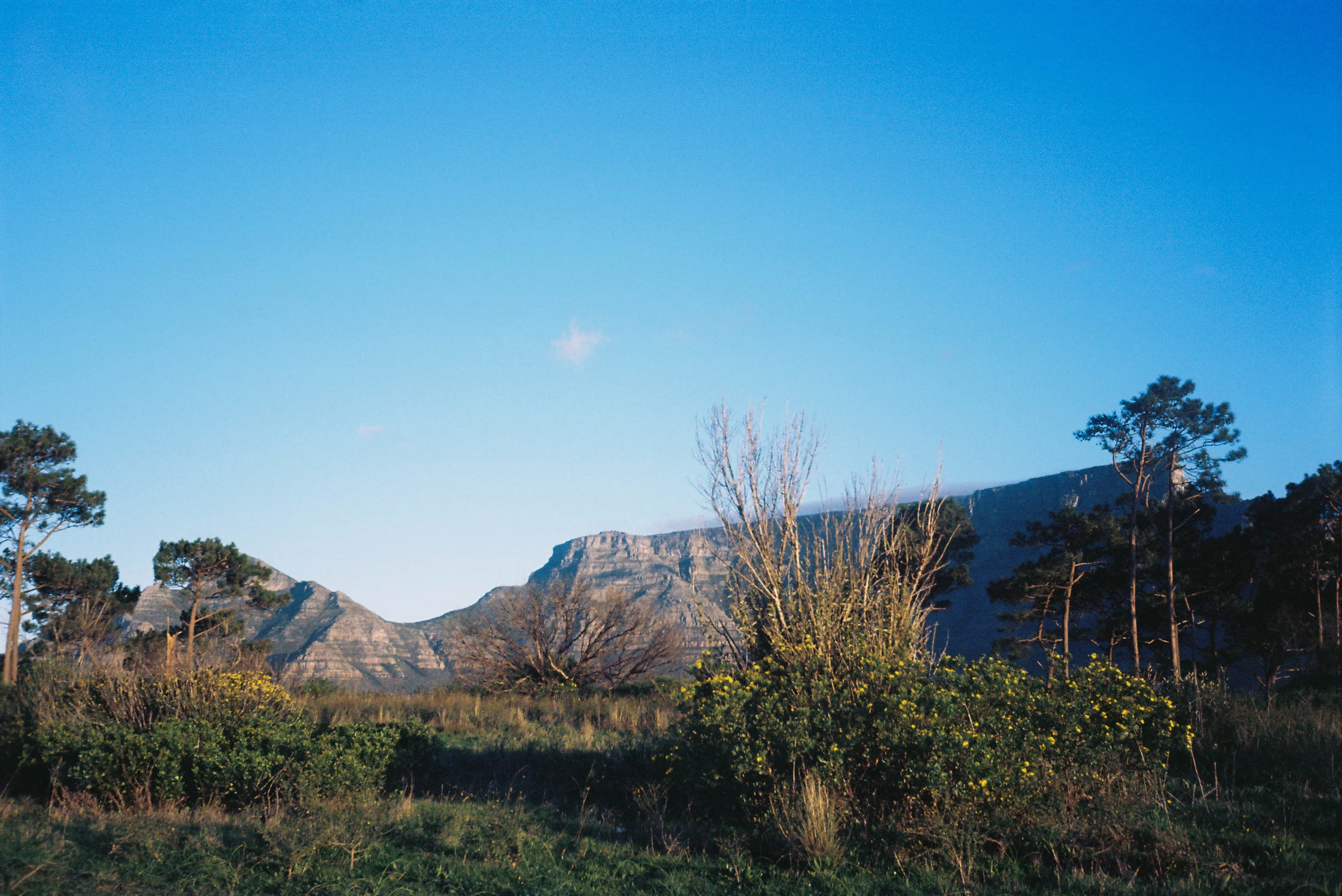 Table Mountain