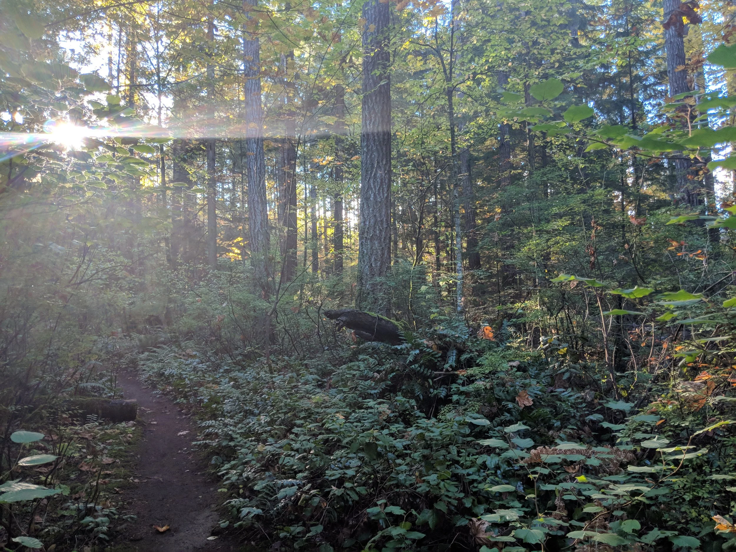 MVIMG_20181012_094132.jpg