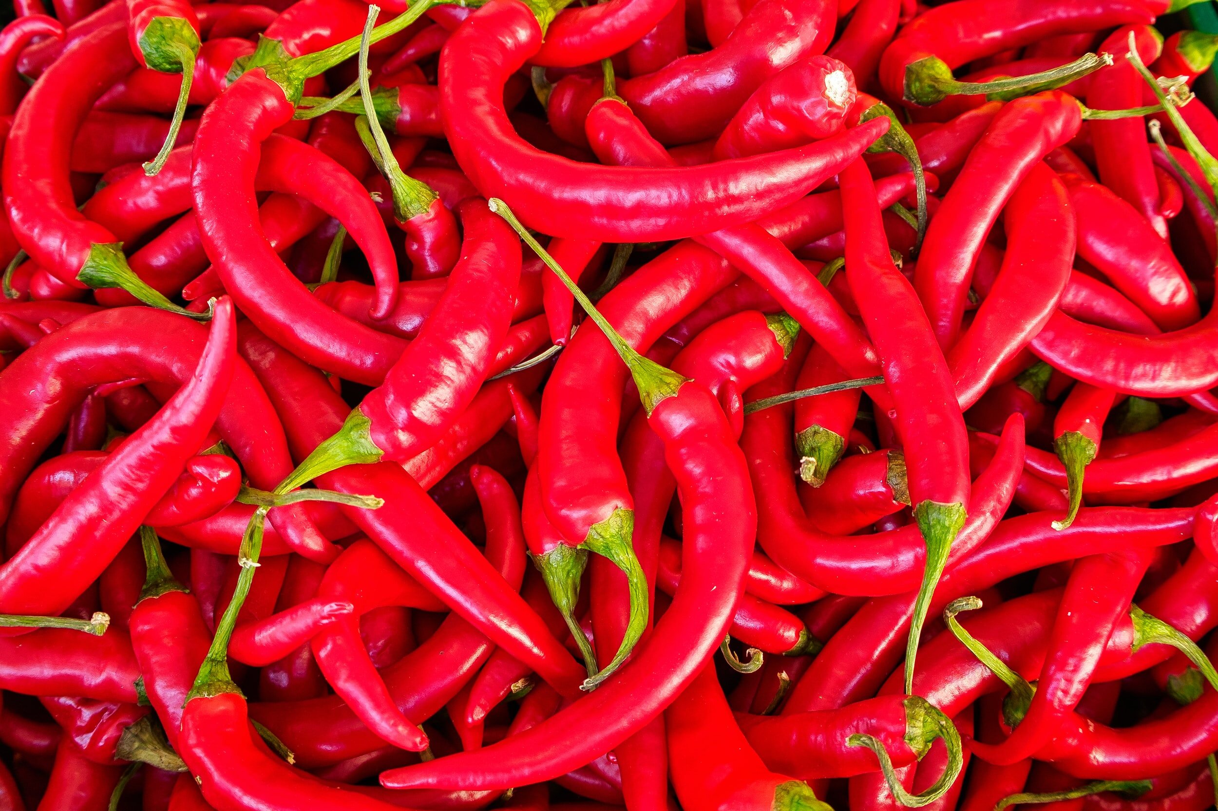 The Heat is On! Chili Cook-off Fundraiser
