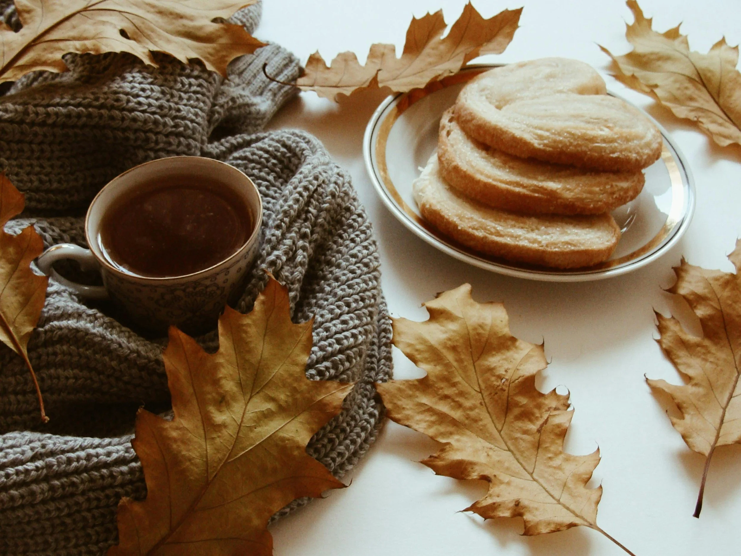 2nd Annual Cozy Sweater Swap &amp; Gourmet Cookie Bake Sale