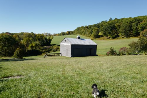 Spring Hill Home Image 4.jpg