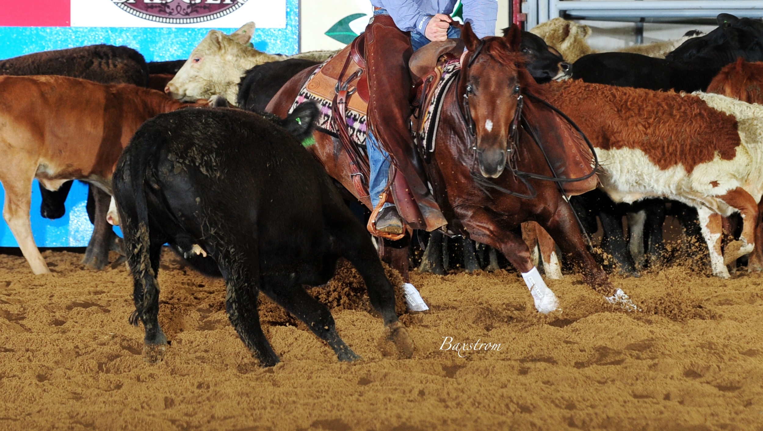 BXP_3729-released.jpg