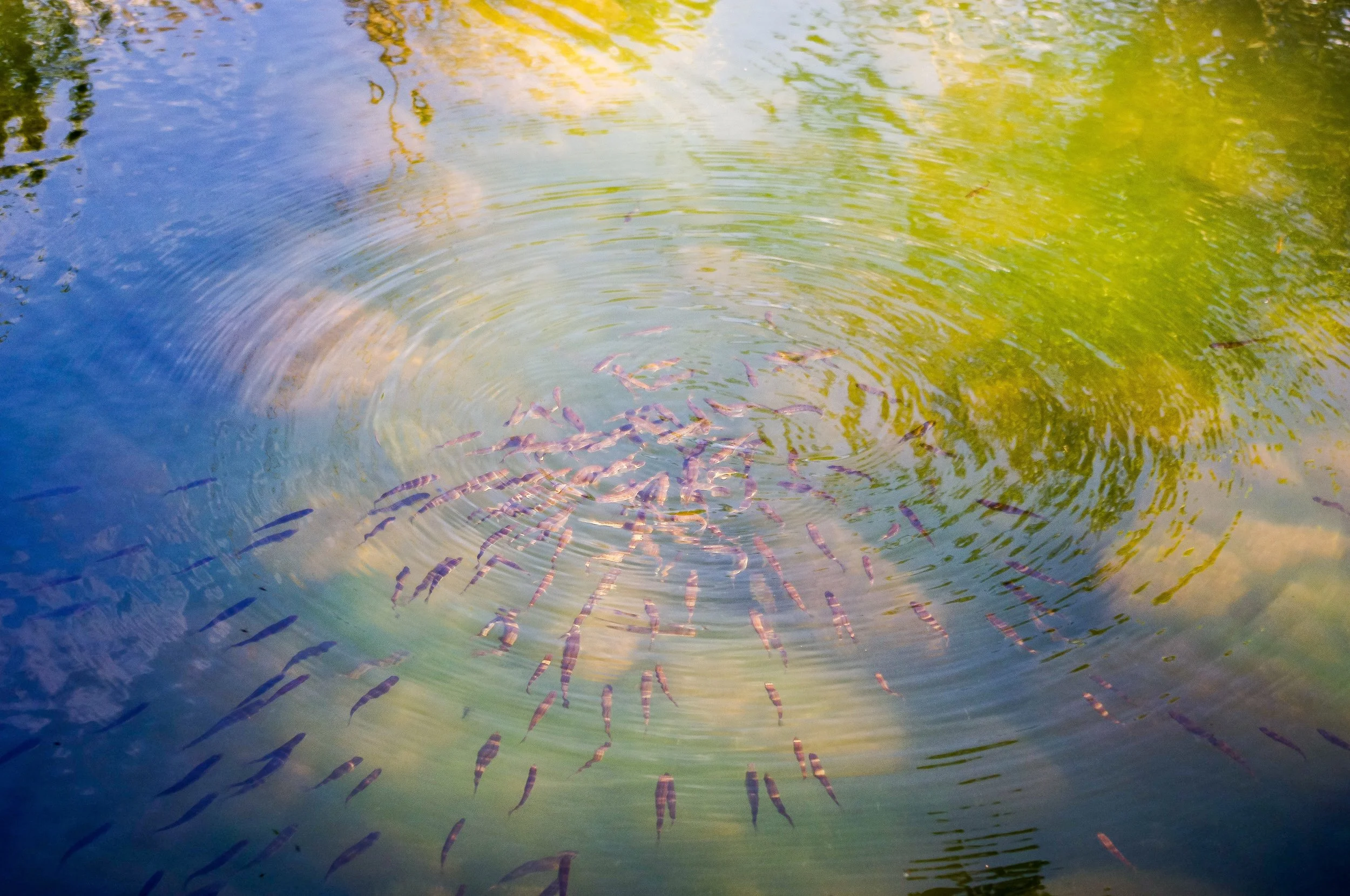 abstract-3093260.jpg