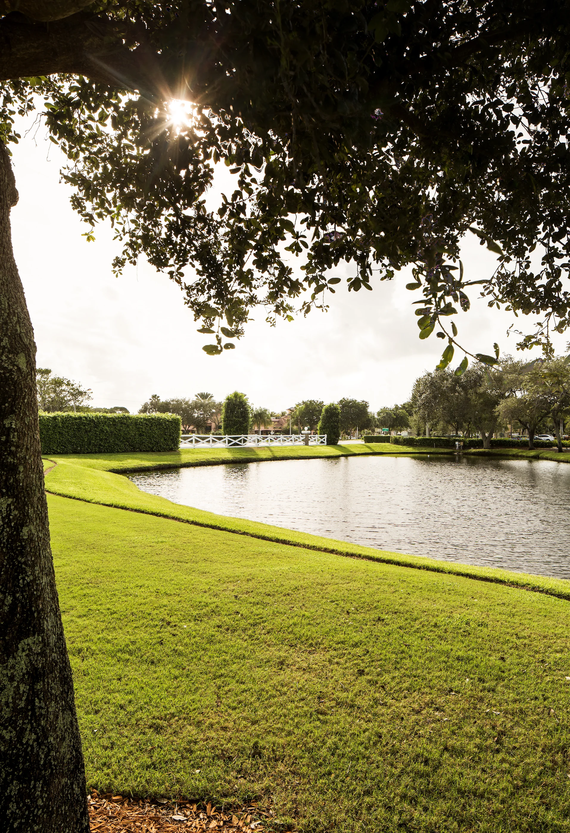 pcs lake photo.jpg
