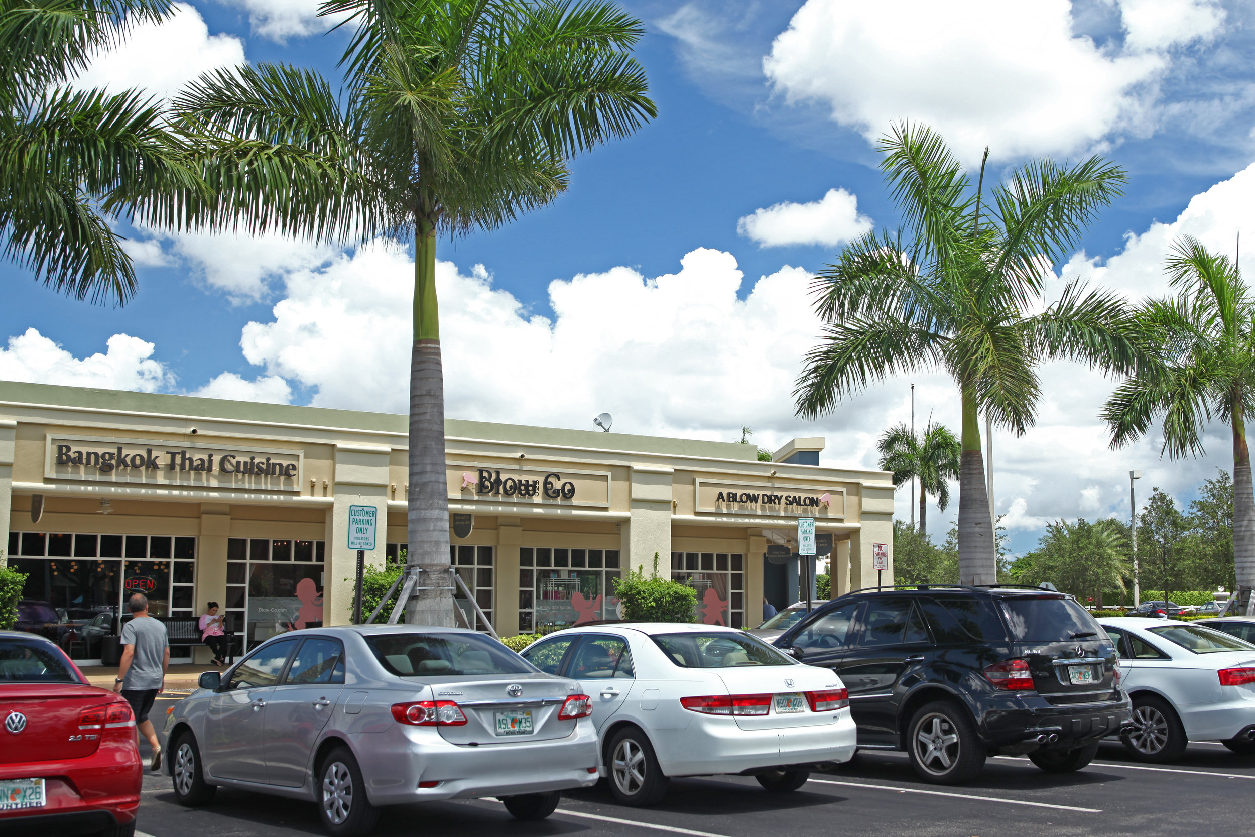 Shopping center store front of  Blow and Go Salon, with cars parked out front, and palm trees near the sidewalk 
