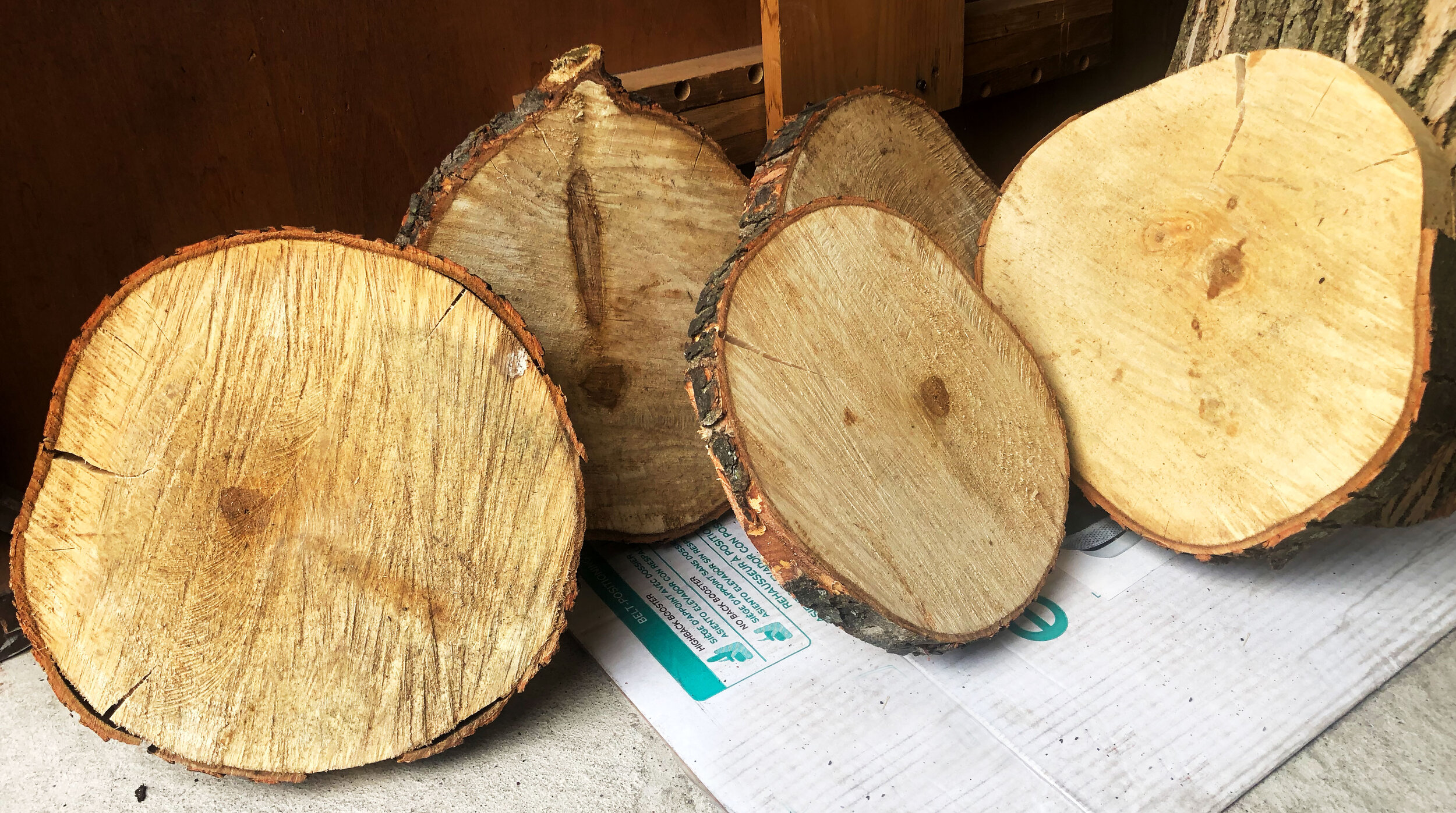 mld-event-decor-props-for-rent-rentals-wooden-slabs-discs-stands-sizes.jpg