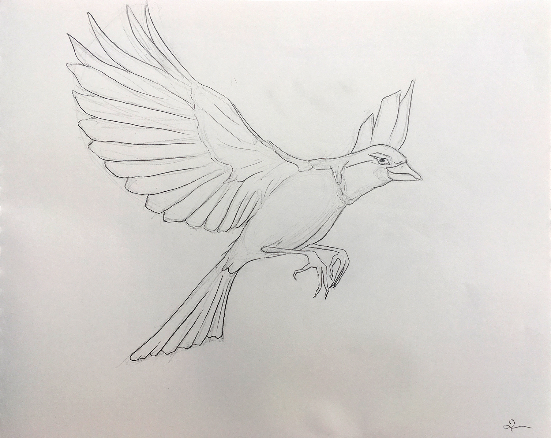 Bird study 1