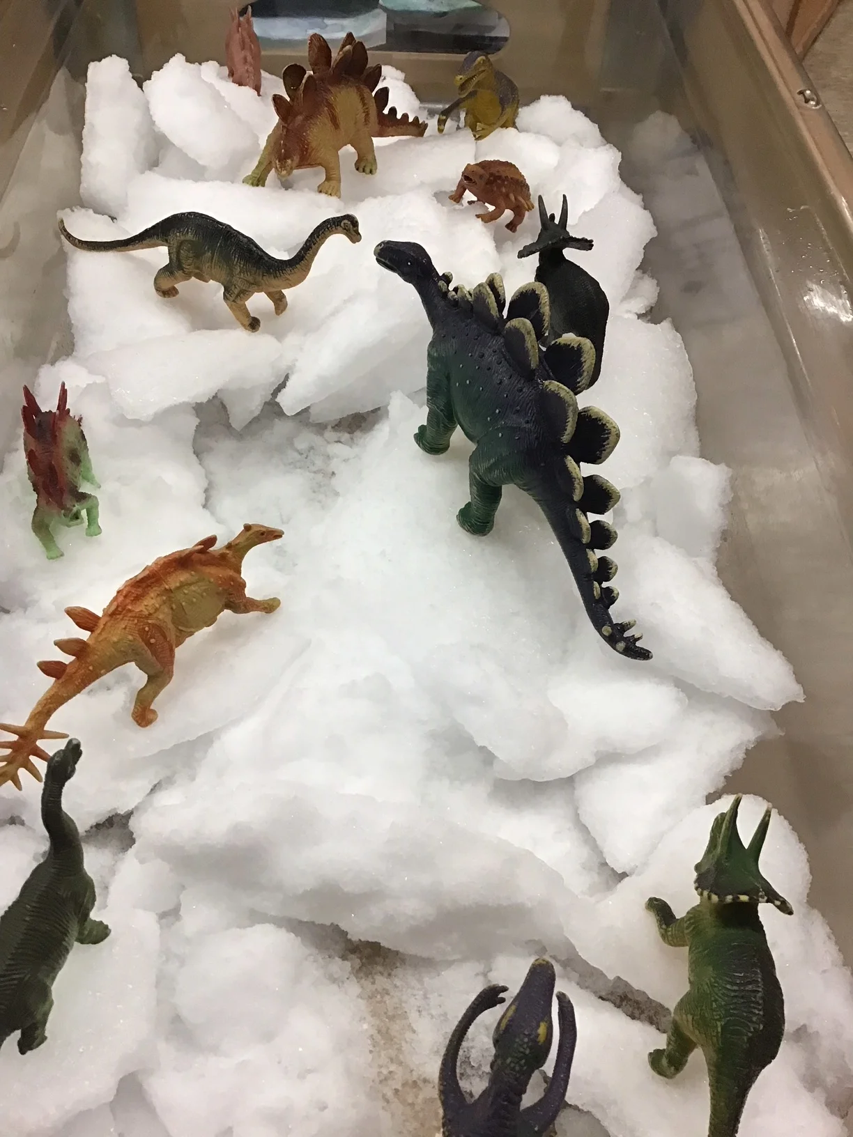 Snow and Ice Belong In The Sensory Table 