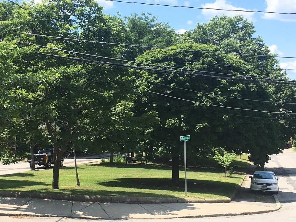 An Ode To Irving Park (Part of our series on Playgrounds and Parks in New England)