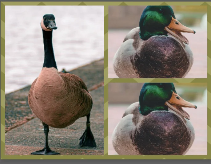 The Anxiety of Waiting To Get Picked In Duck, Duck, Goose and Other Social Stressors in Early Childhood