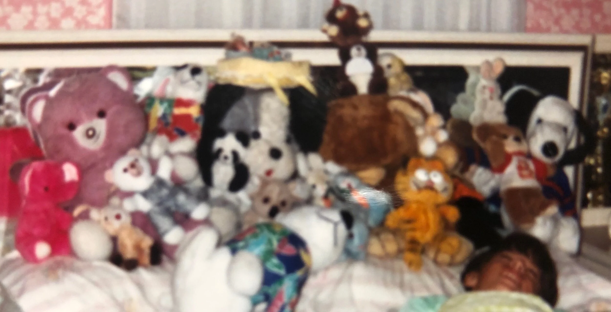 The Life and Death of a Stuffed Animal Wresting League (1986-1991)