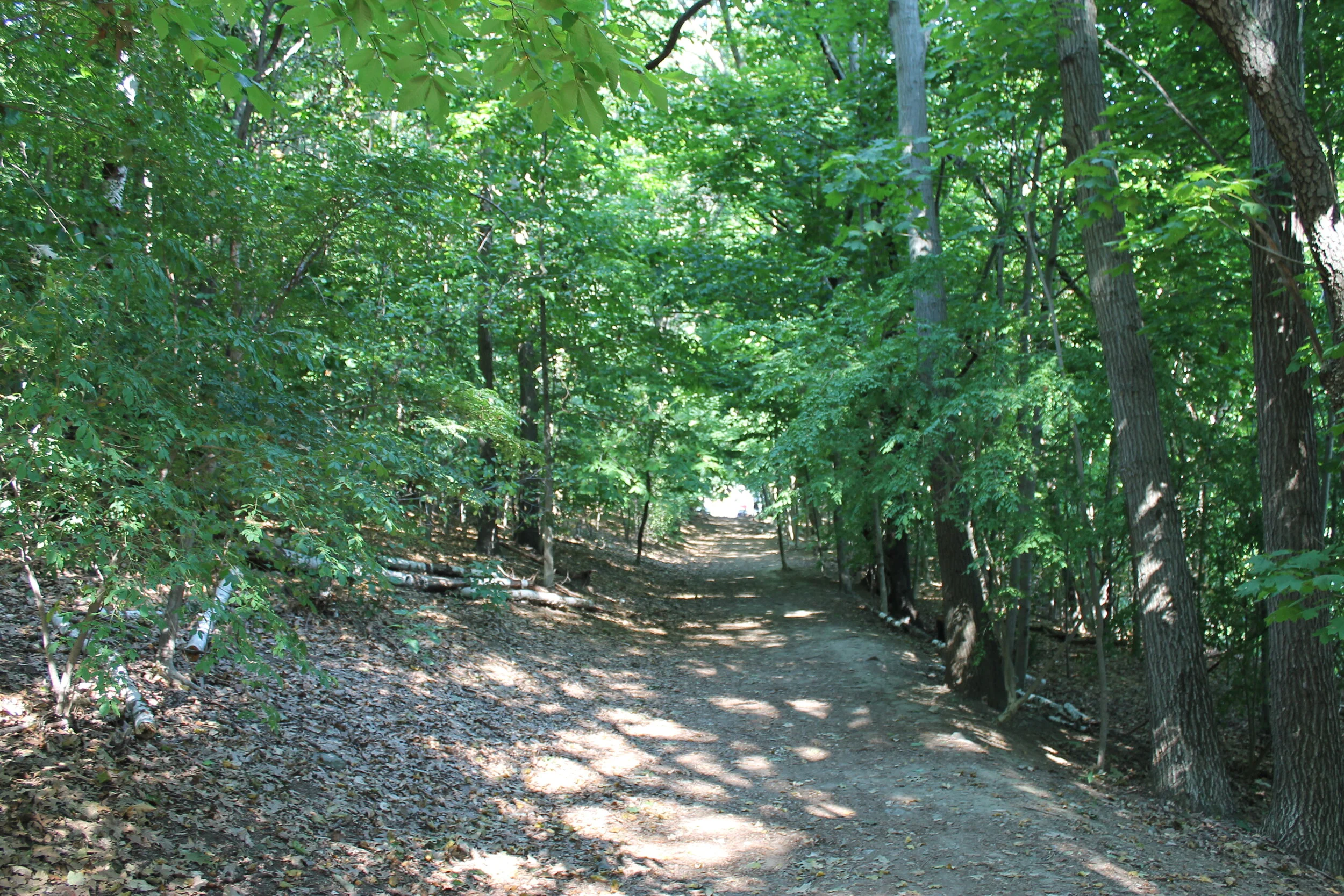The Whitney Hill Park Woods in Watertown MA Is A Great Spot For Toddlers/Preschoolers to Hike 