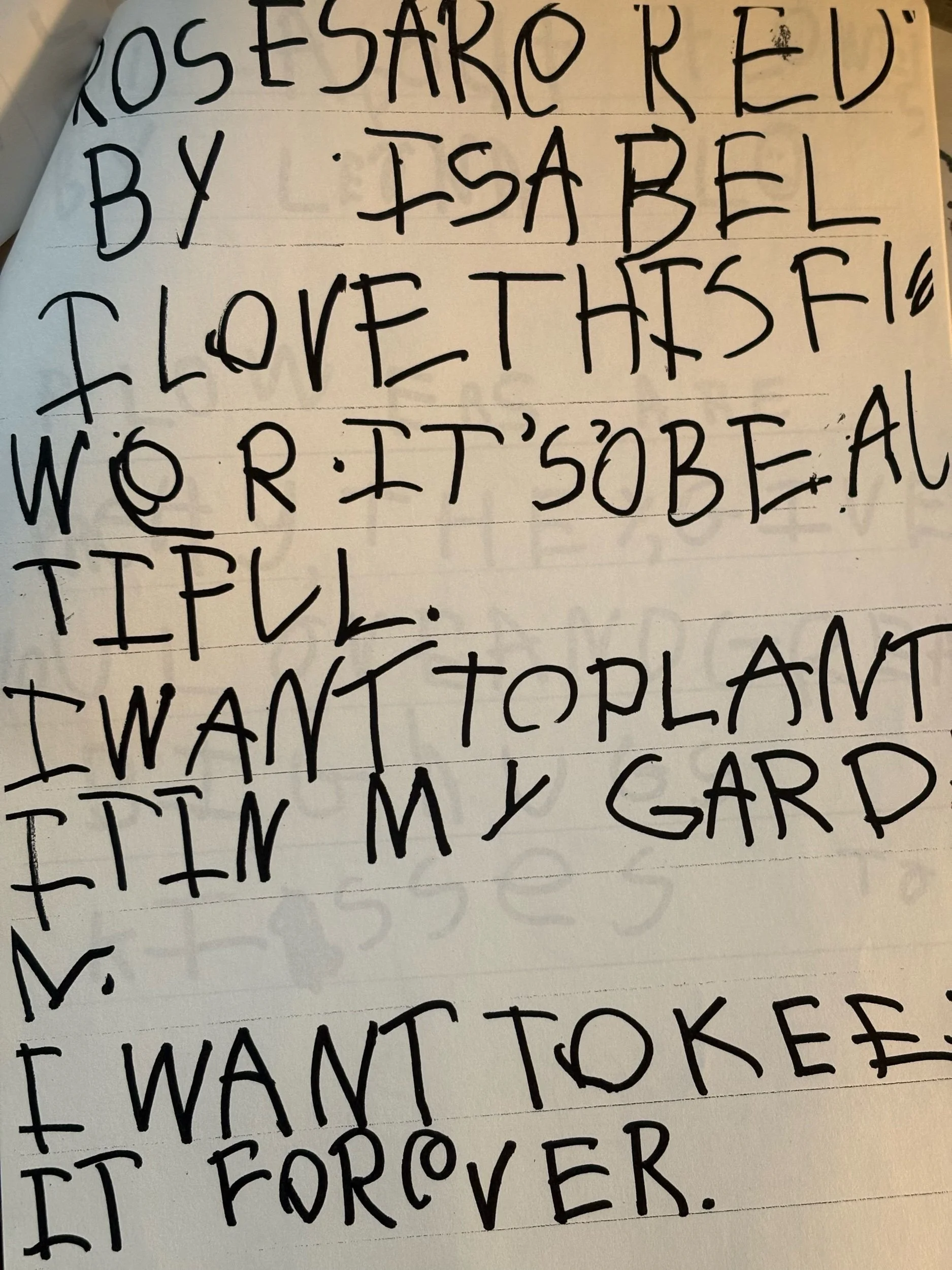 Photo Essay: Kindergarten Students from 2004's Writing and Artwork