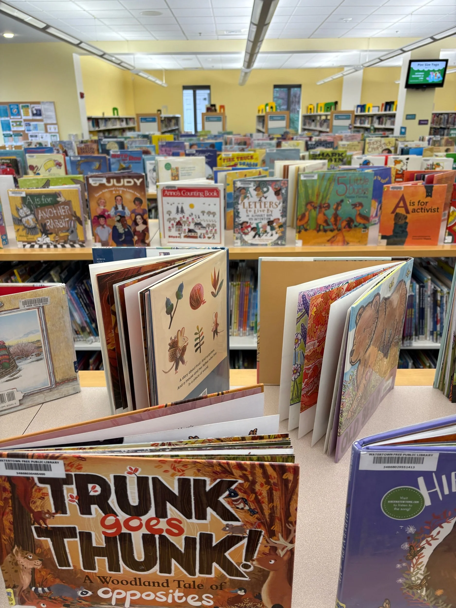 Beyond Dr. Seuss: Preparing Early Childhood Educators to Curate a Modern, Diverse Classroom Picture Book Library