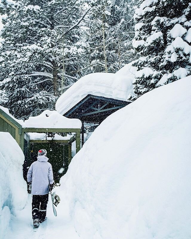 Paradise. ⁣
⁣
R:⁣ @stork_winstinn 
P: ⁣@stewartphotoco
⁣
74&rdquo; of nectar in 14 days spawned a zen like atmosphere here in Colorado. If you were lucky enough to have gotten to partake in this past storm cycle then you know how special it has been.