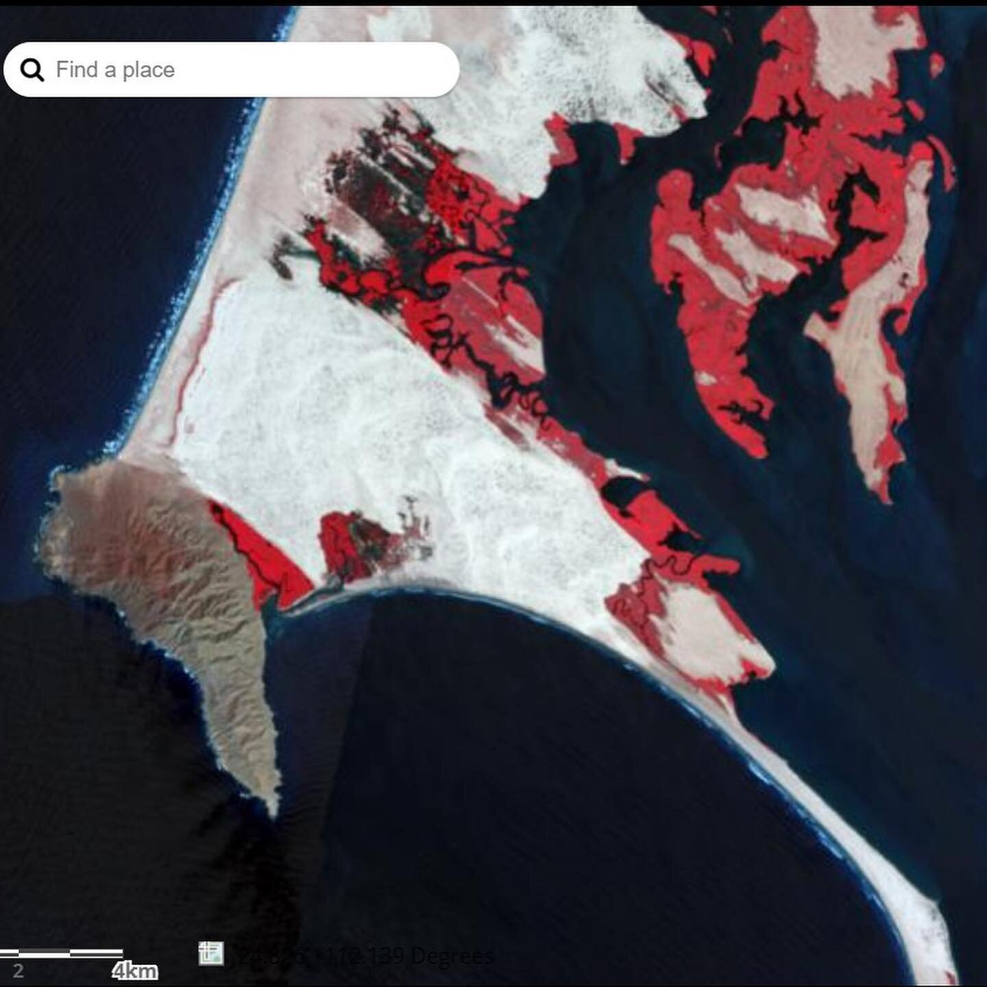 I thought I&rsquo;d share with you guys some work I&rsquo;ve been doing examining the mangroves of Baja California Sur using Landsat imagery. Landsat is one of the longest running imagery programs out there. It&rsquo;s high quality data covers many w