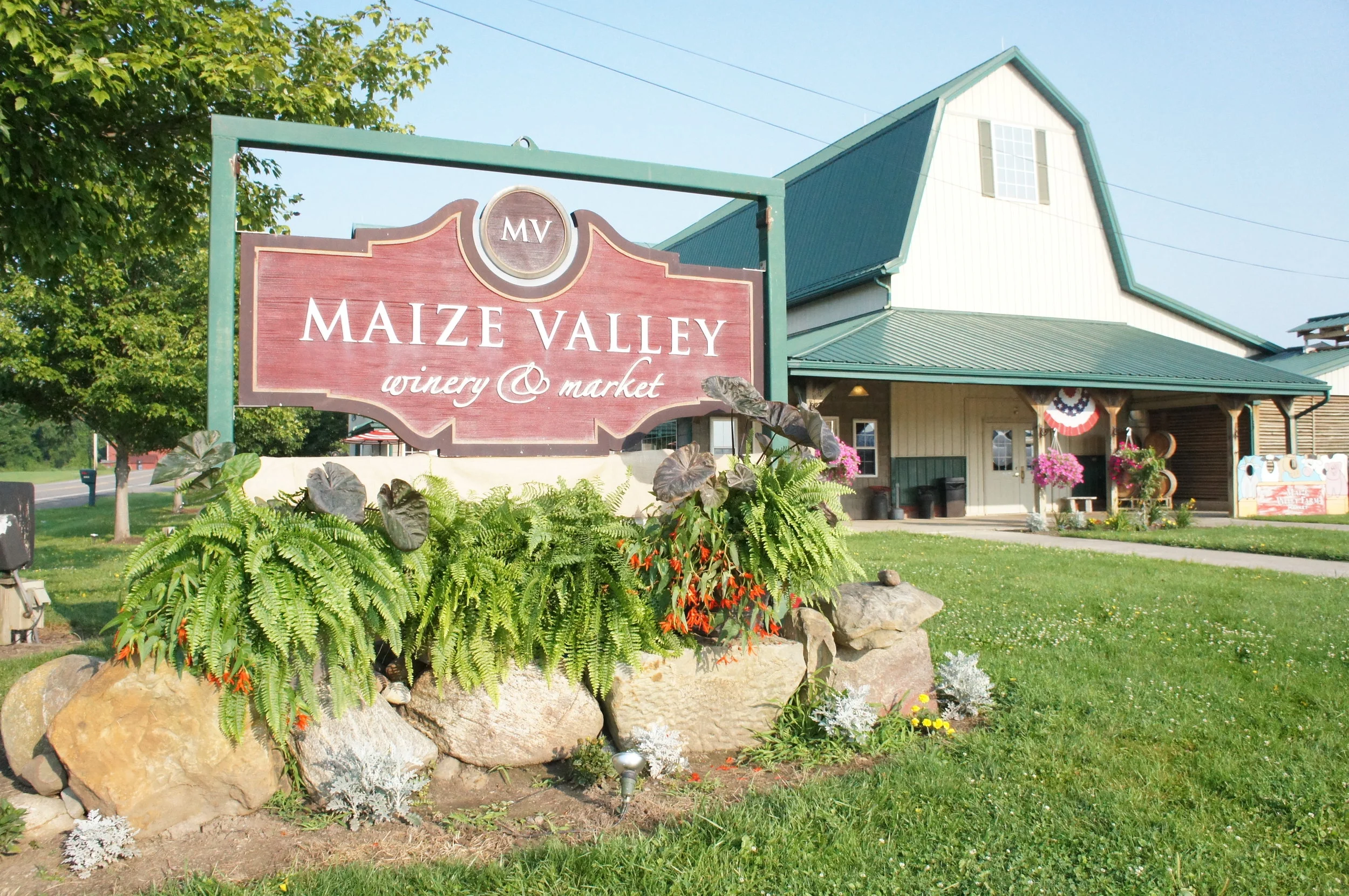 2014-07-22 07.23.43maize.jpg