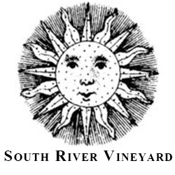 South River Vineyard