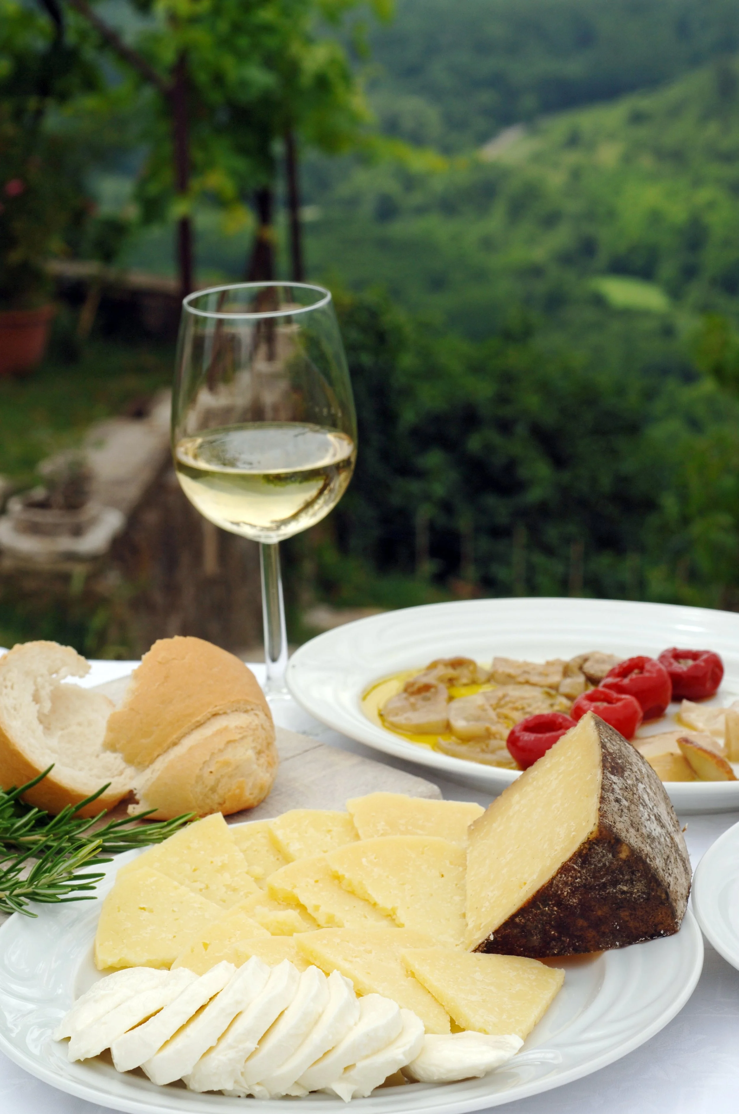 A Riesling "Experience" 