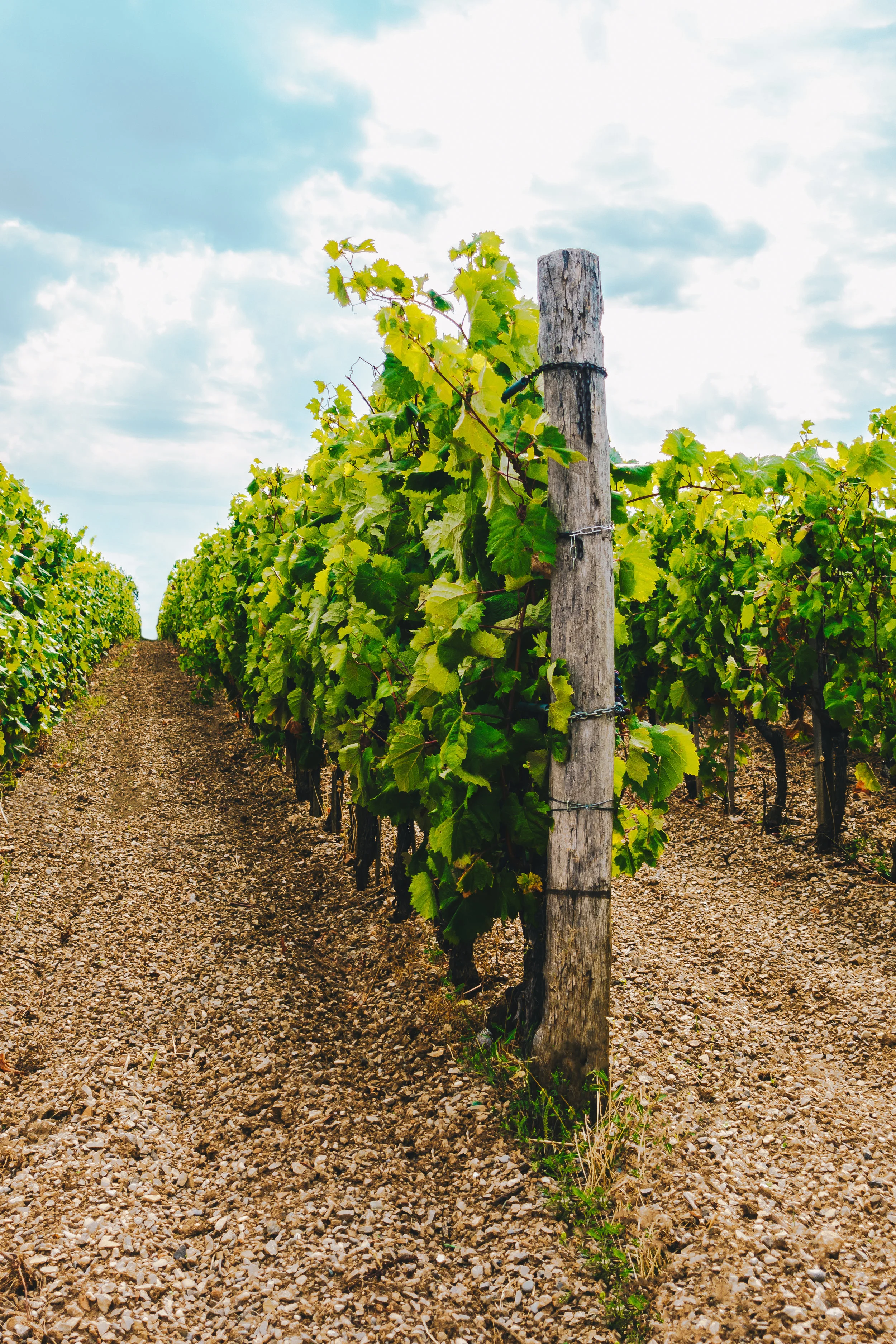 A look back…and forward 