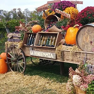 Festa-300.jpg