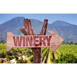 Planning for the Generations