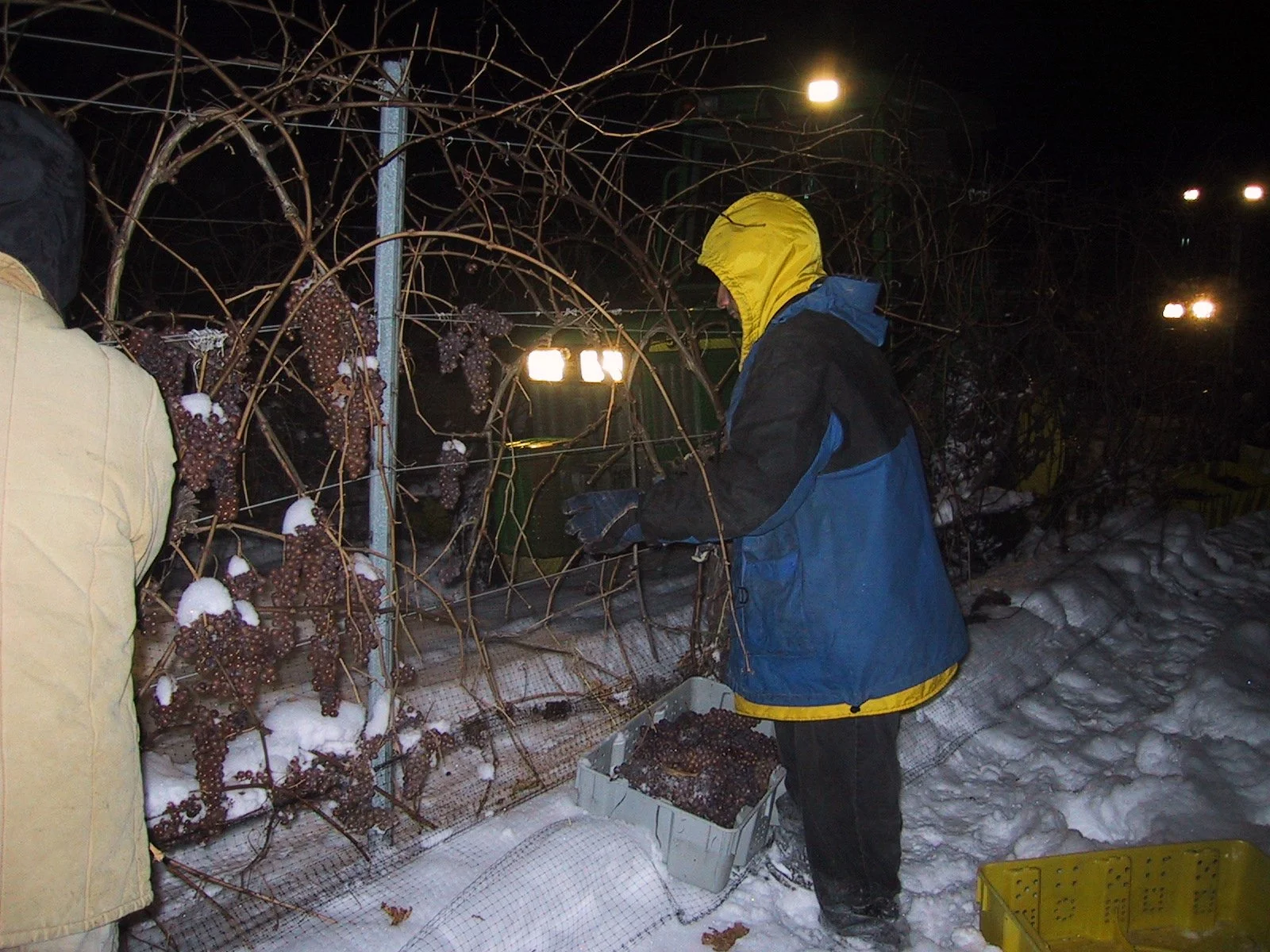 Some ‘bubbly’ info to bring in the New Year…..and will there be a 2021 vintage ice wine this year?