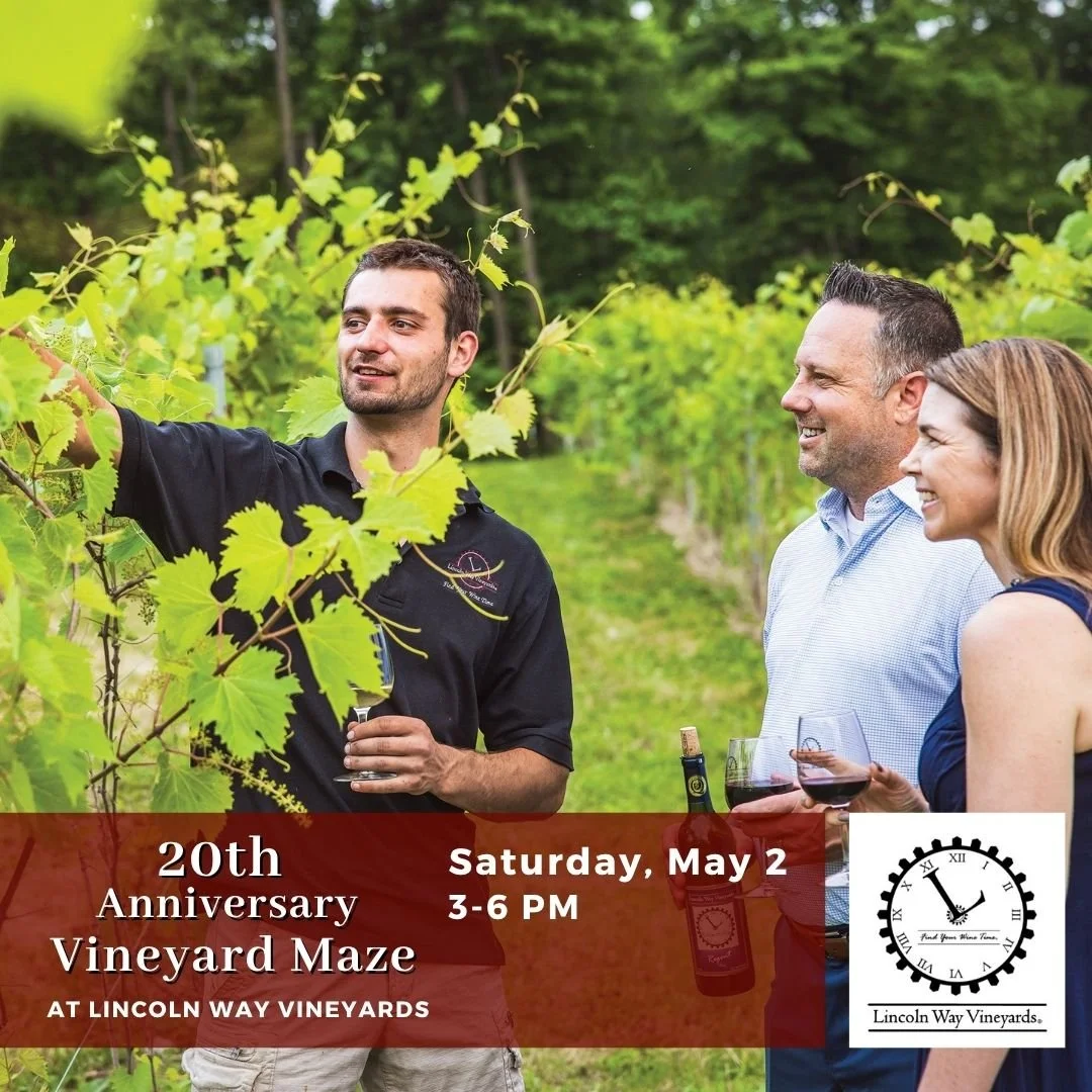 Lincoln Way Vineyards - 20th Anniversary Vineyard Maze 