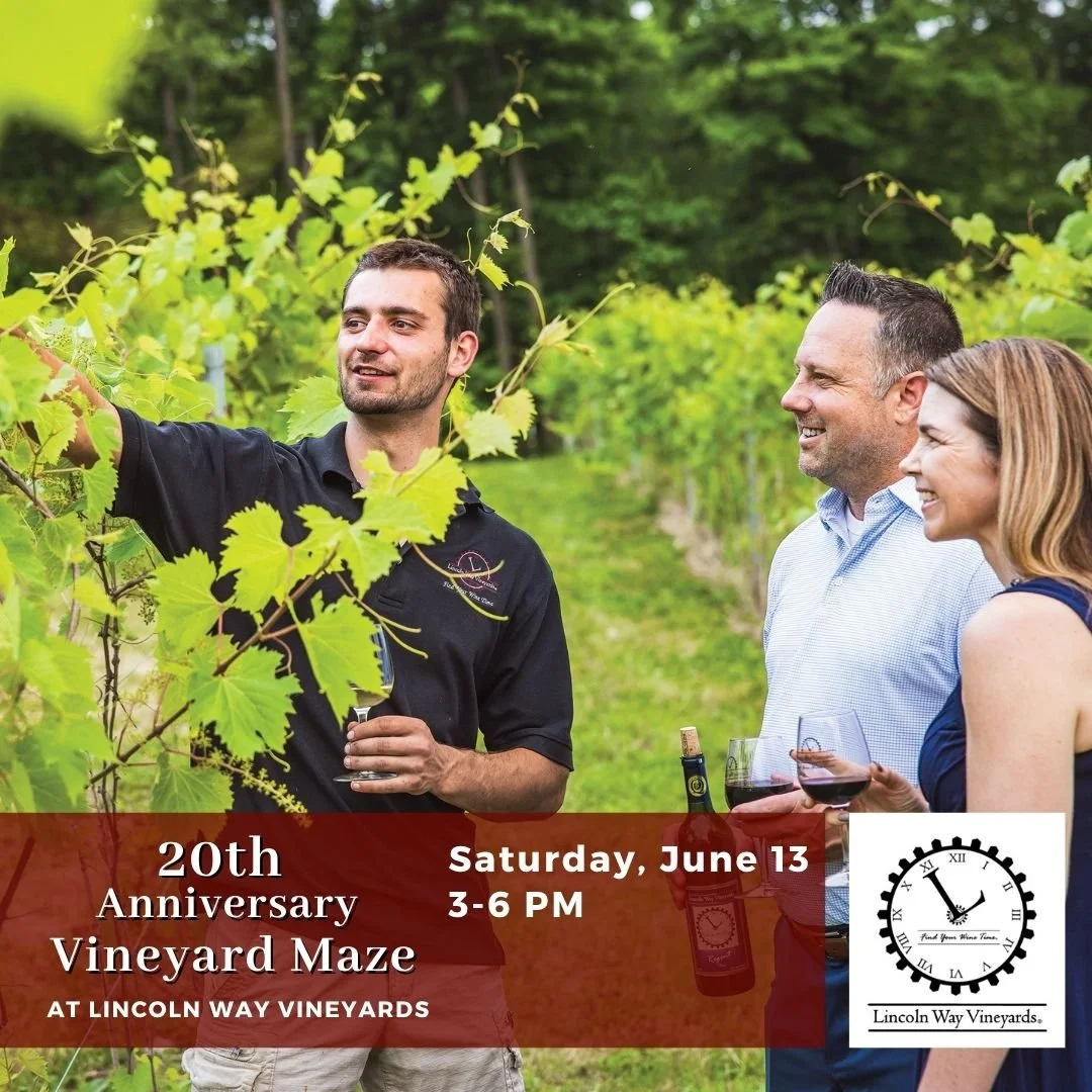 Lincoln Way Vineyards - 20th Anniversary Vineyard Maze