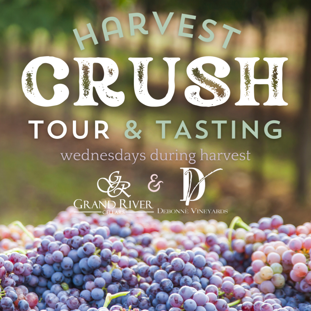 Debonné Vineyards - Harvest Crush Tour &amp; Tasting 