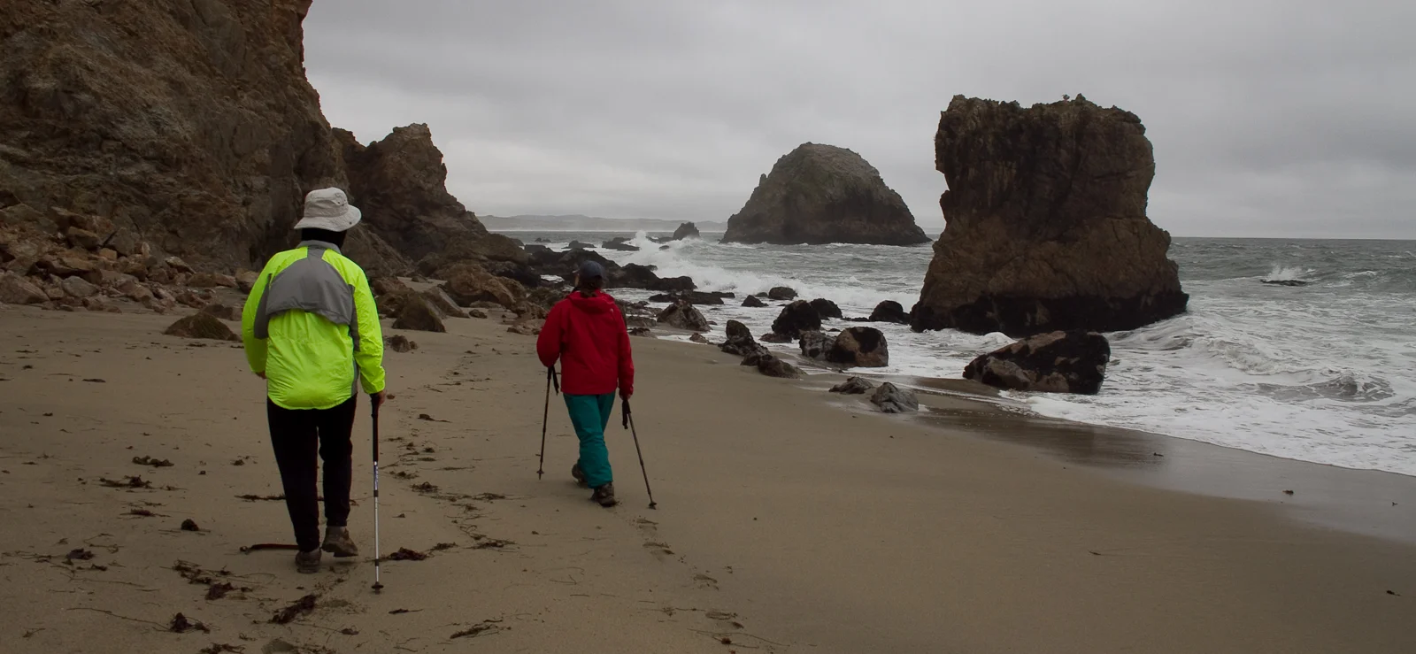 DWimpfheimer-McCluresBeach02.jpg